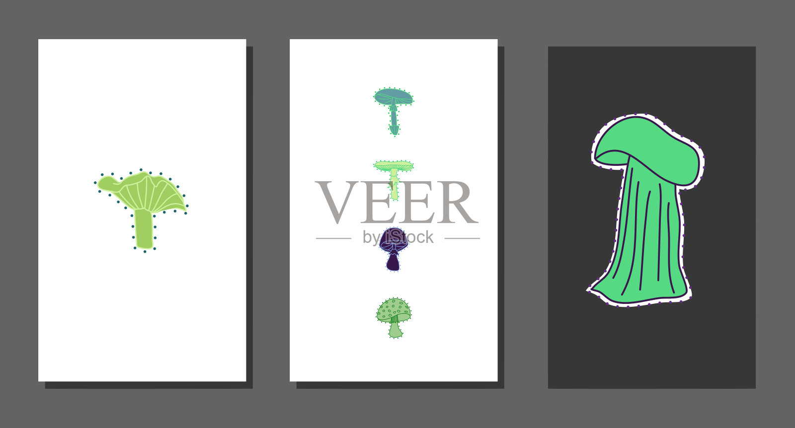 向量植物墙艺术，有叶。插画图片素材