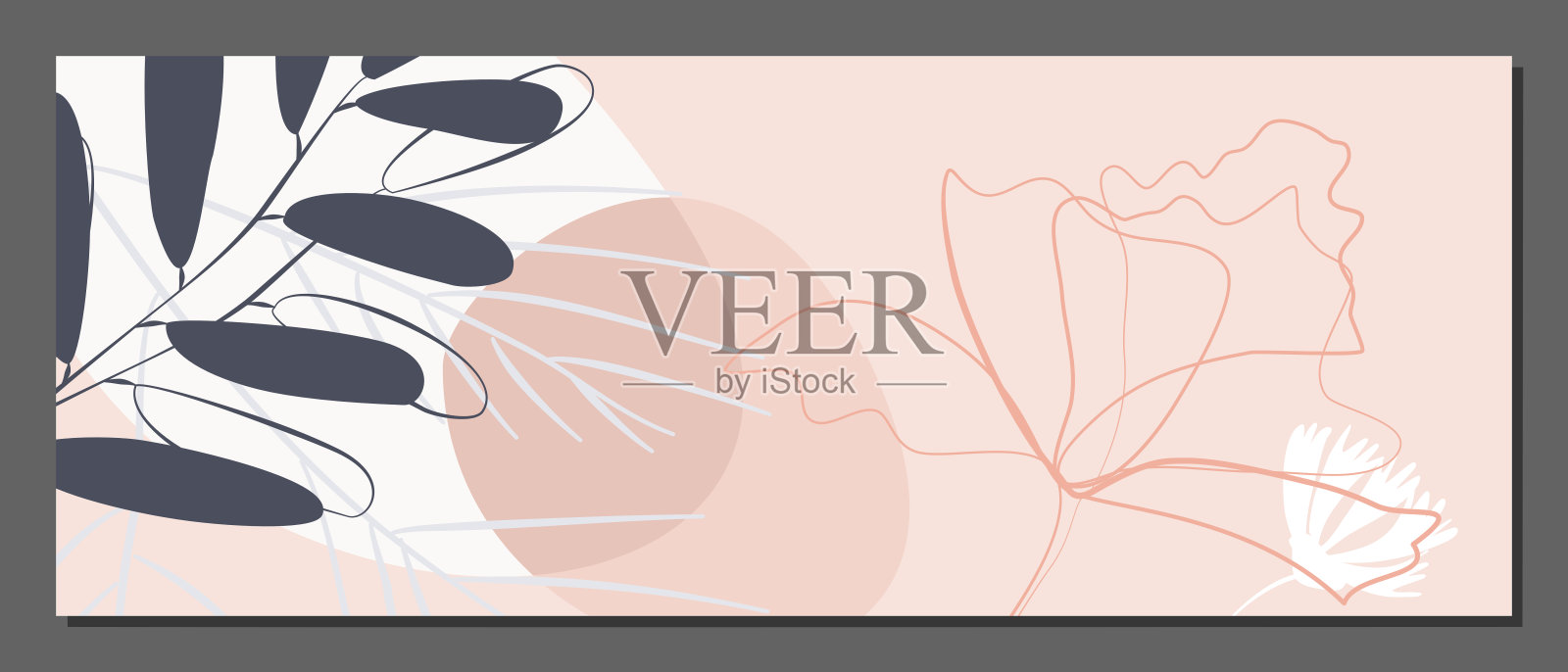 向量植物墙艺术，有叶。插画图片素材