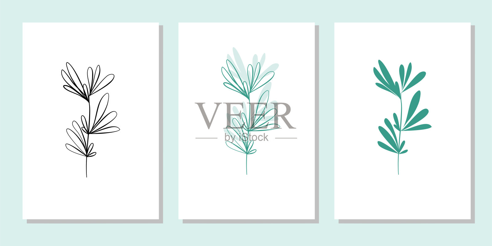 向量植物墙艺术，有叶。插画图片素材