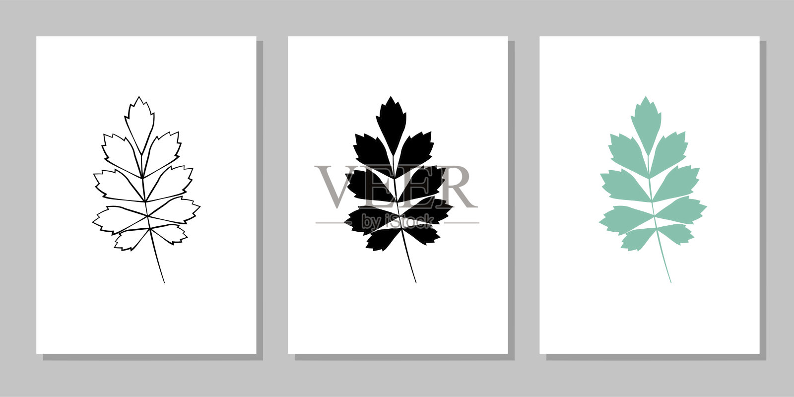 向量植物墙艺术，有叶。插画图片素材