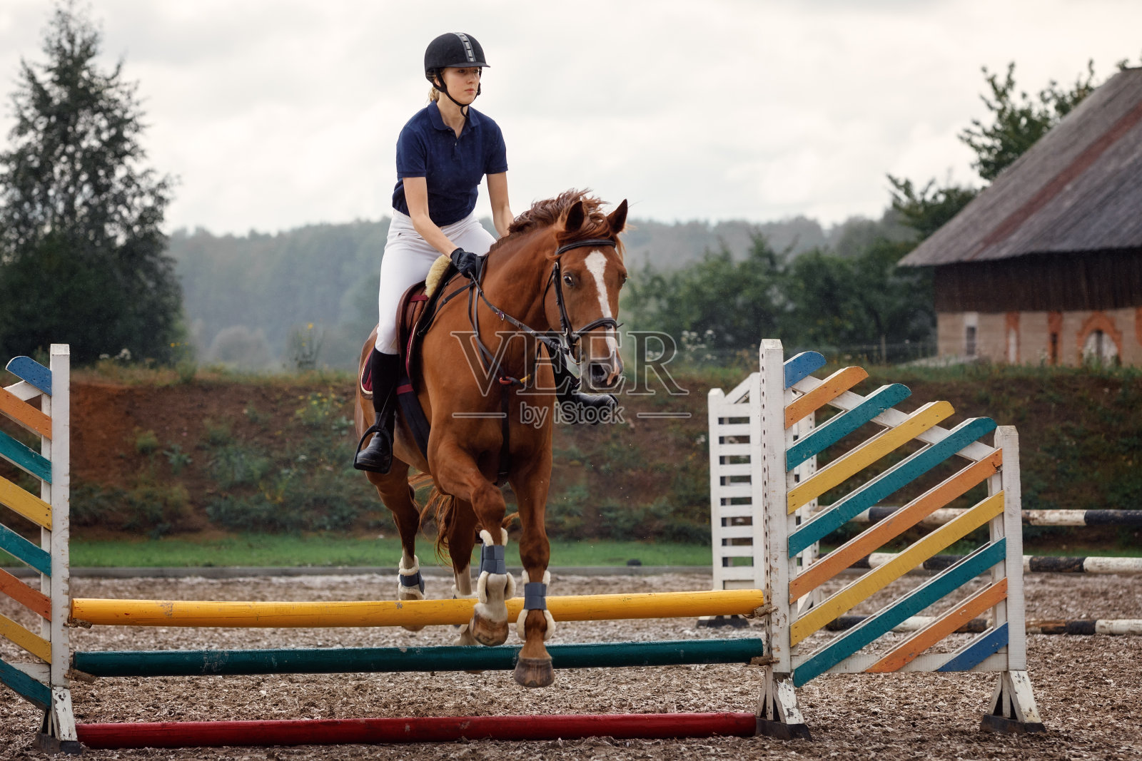活跃的女子骑师训练骑马跳过栅栏。马术运动的竞赛和活动。照片摄影图片