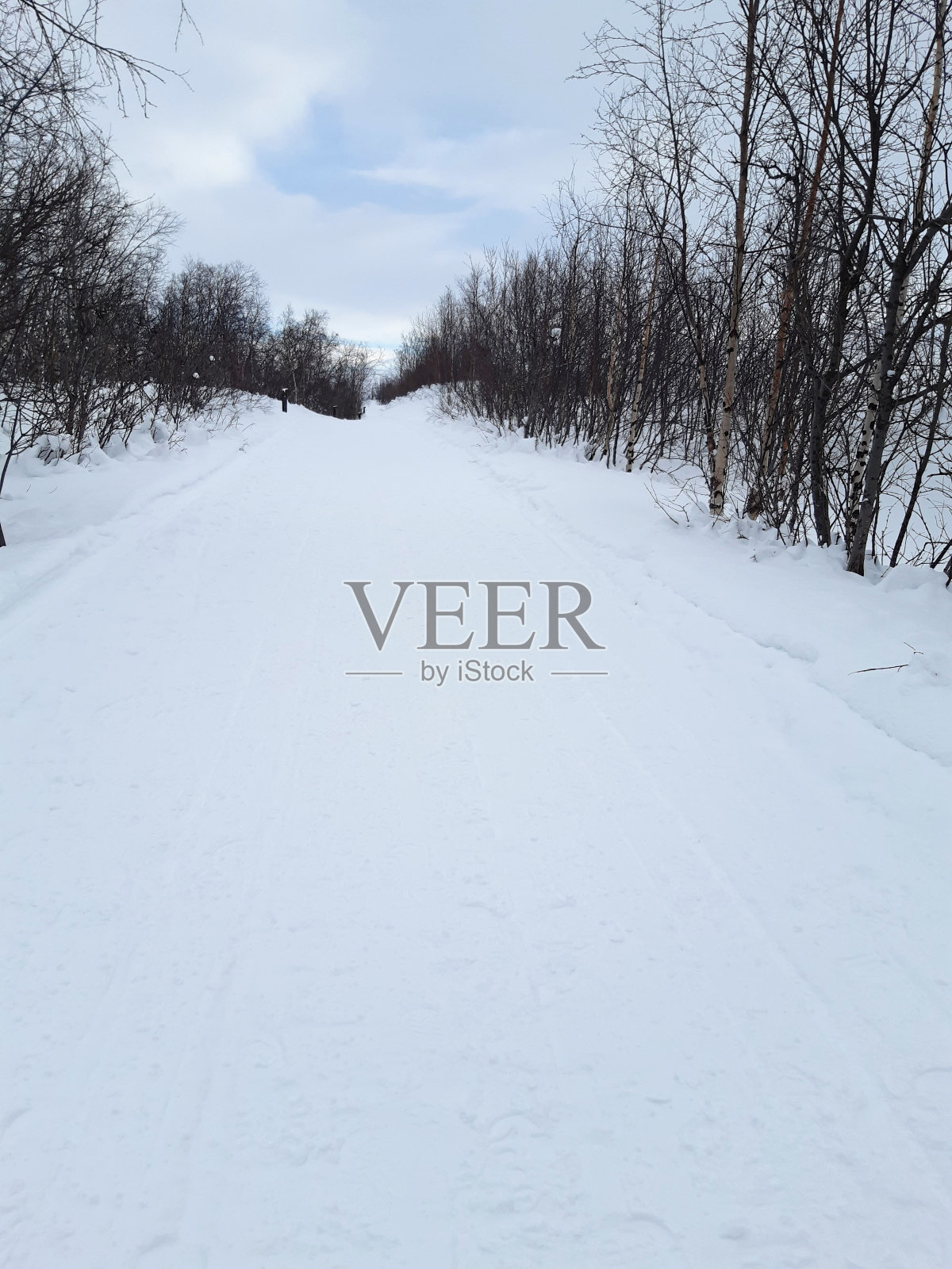 雪拉普兰的风景。白雪皑皑的道路上，北极圈下的蓝天。北欧国家的性质。照片摄影图片