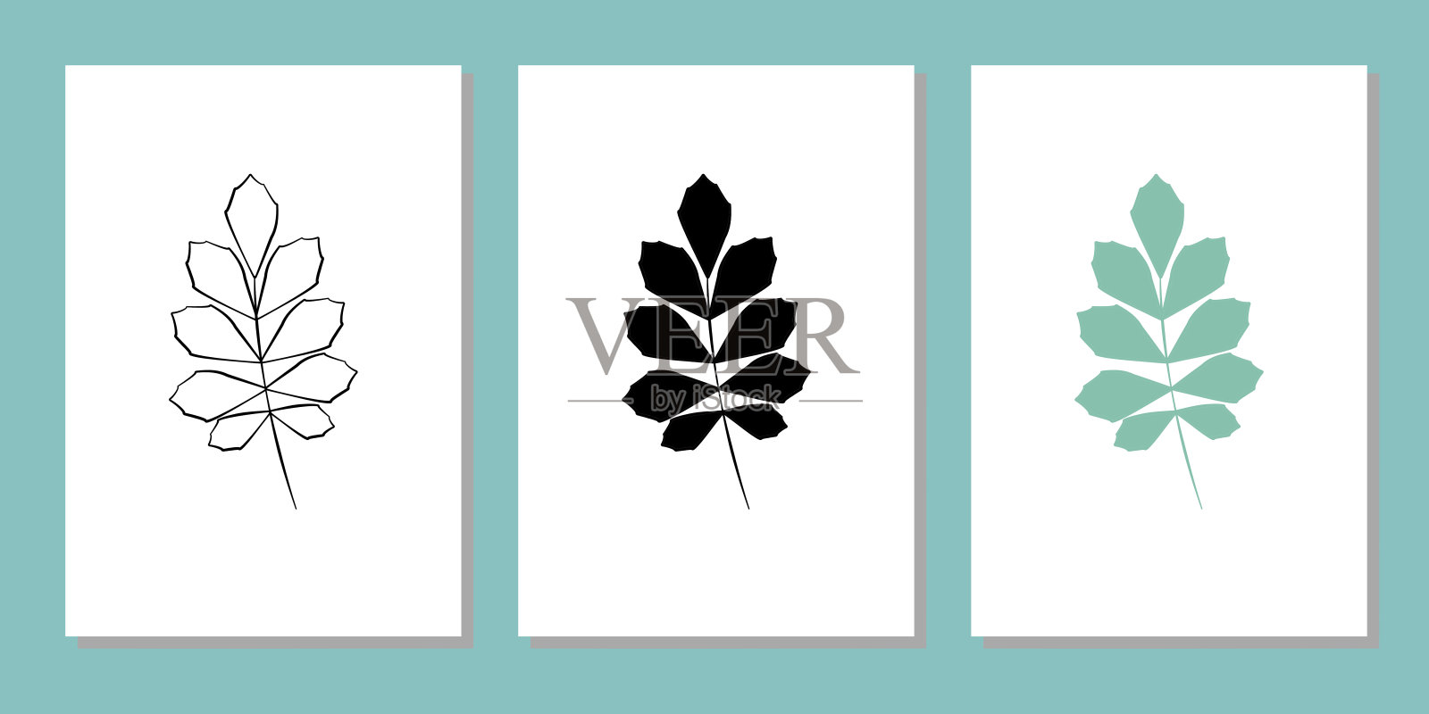 向量植物墙艺术，有叶。插画图片素材