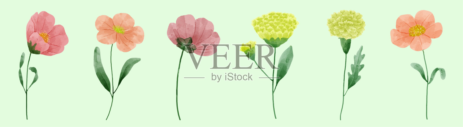 一套为设计师创作的水彩画花卉插画图片素材