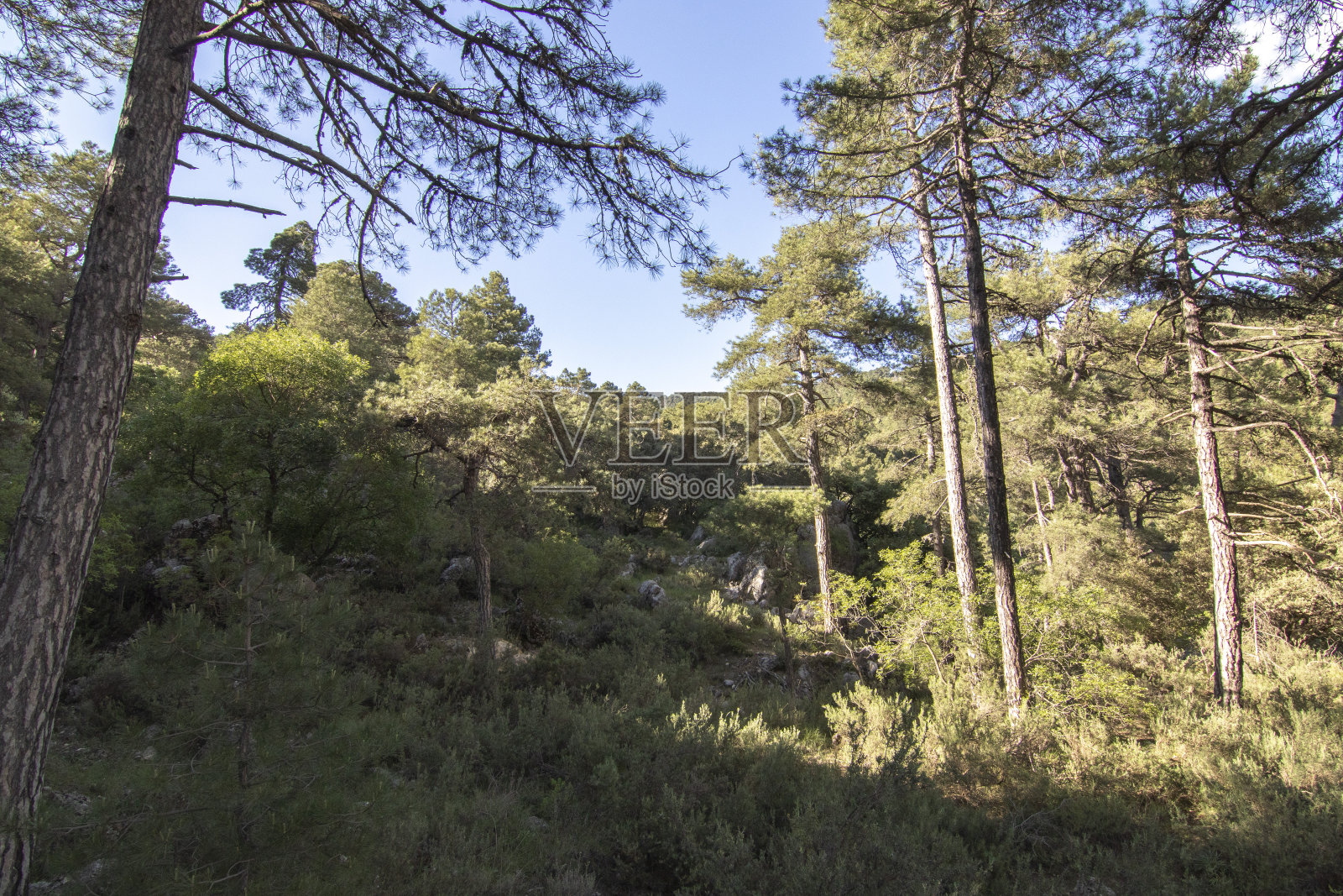 西班牙卡索拉山脉的美妙景色照片摄影图片