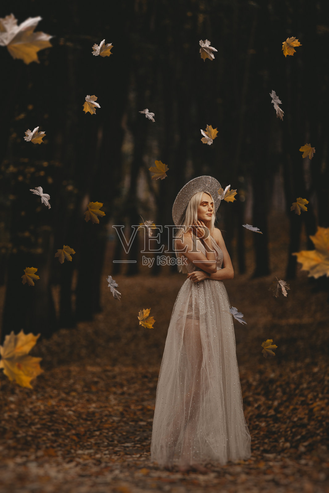 美丽的女人在秋天的照片照片摄影图片