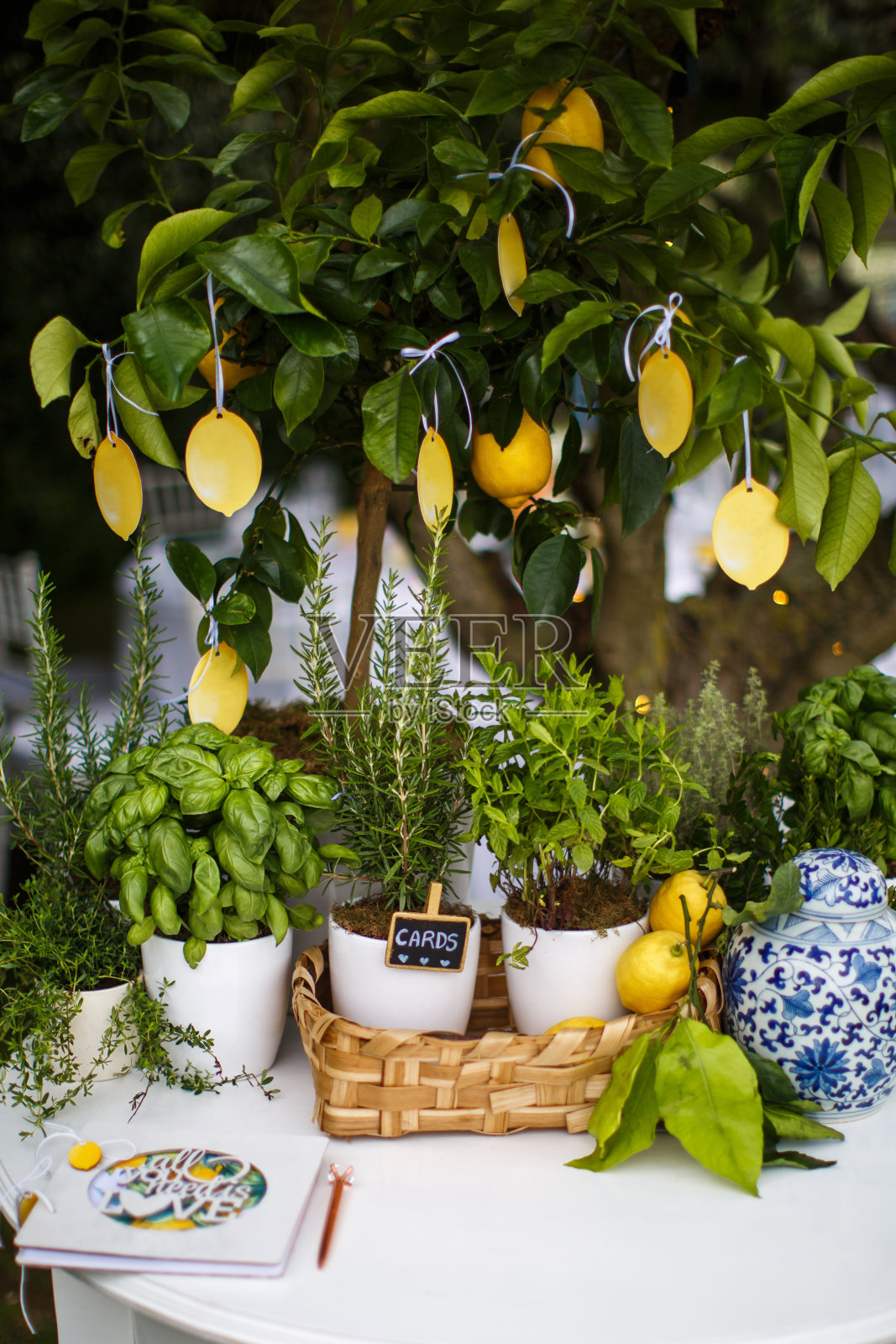 婚礼宾客名单以柠檬的形式挂在树上照片摄影图片
