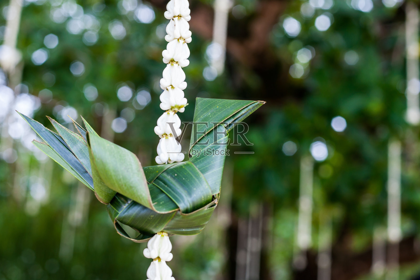 在婚礼上插花照片摄影图片
