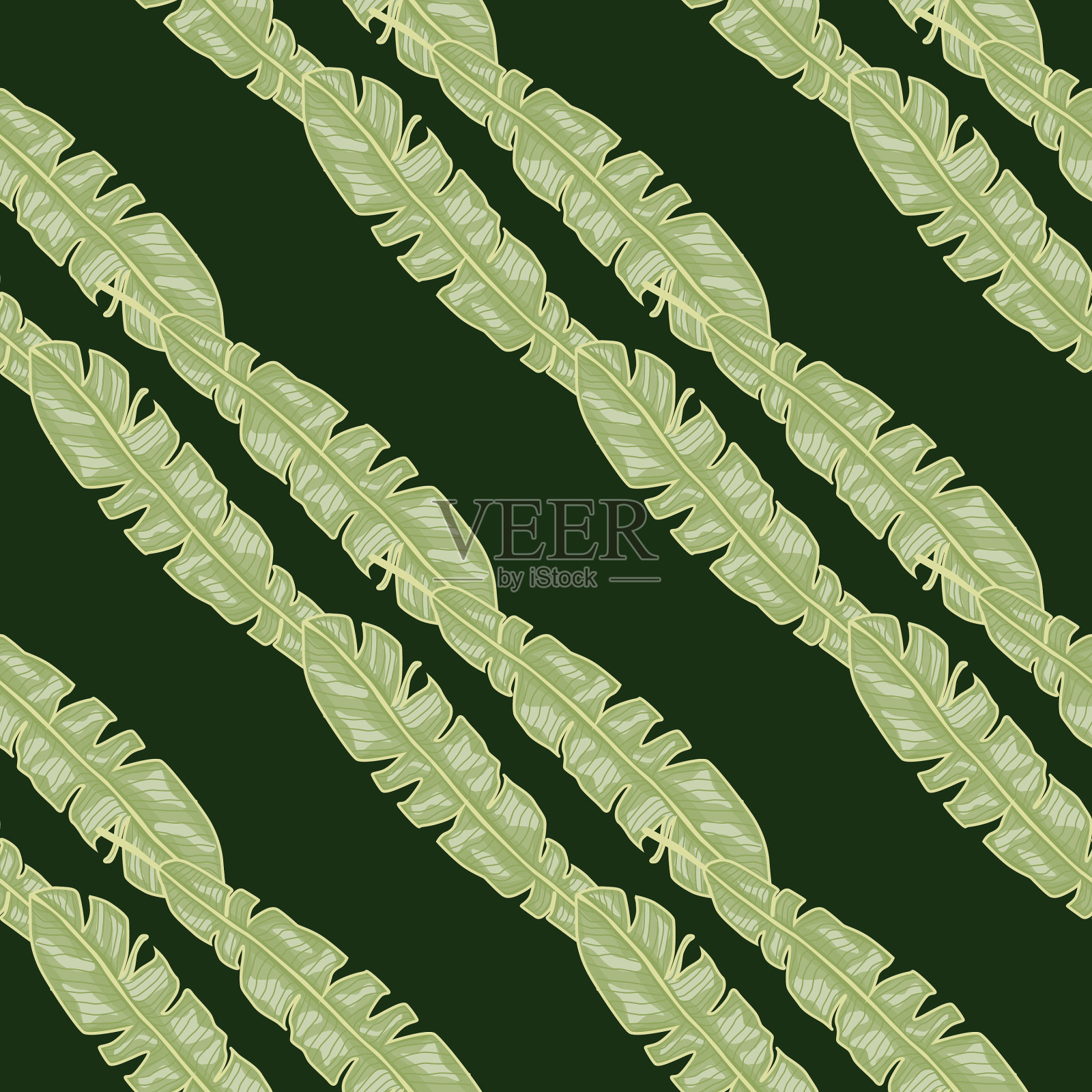 现代芭蕉叶无缝图案与手插画图片素材