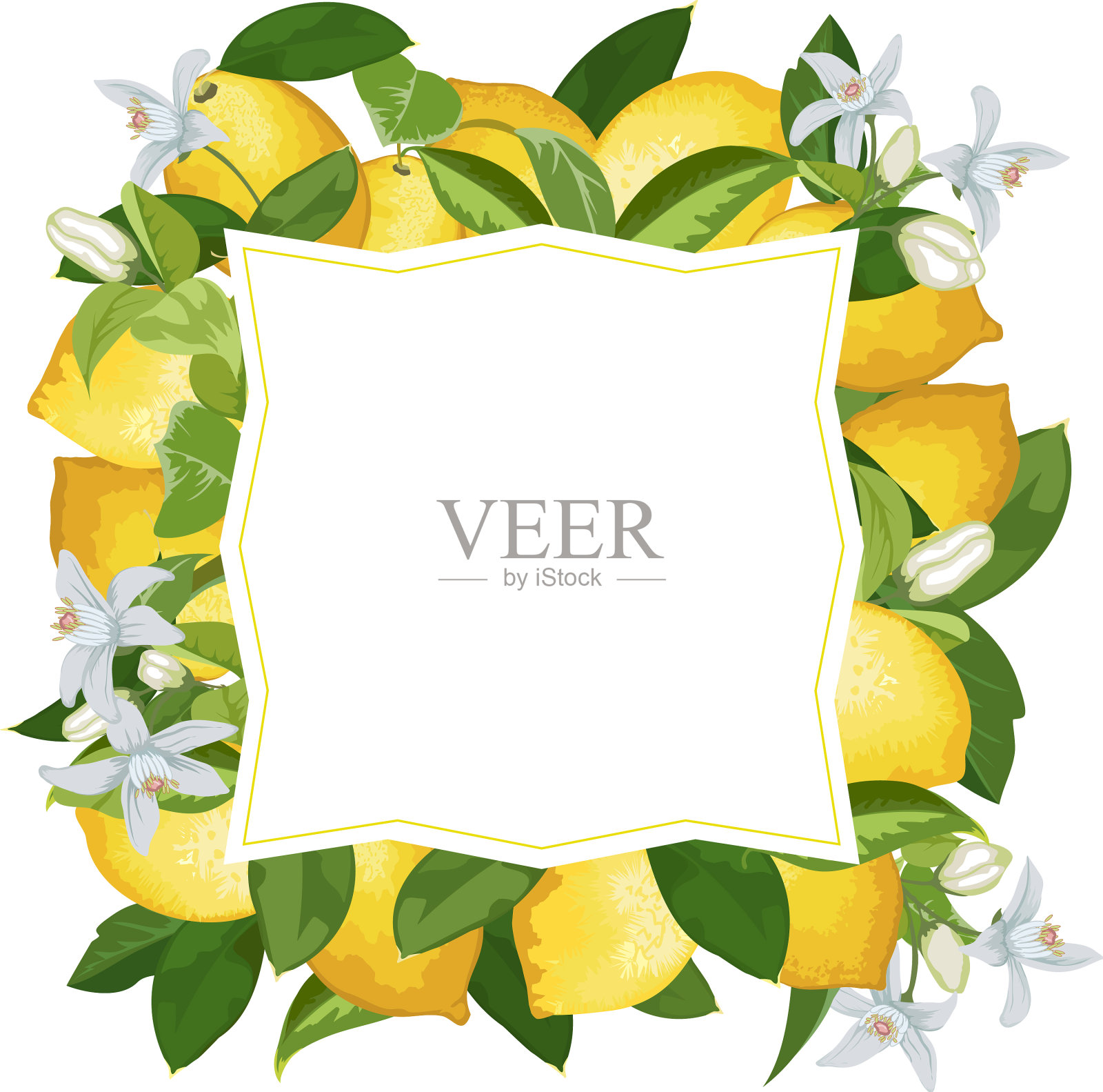 用柠檬装饰着色设计元素图片