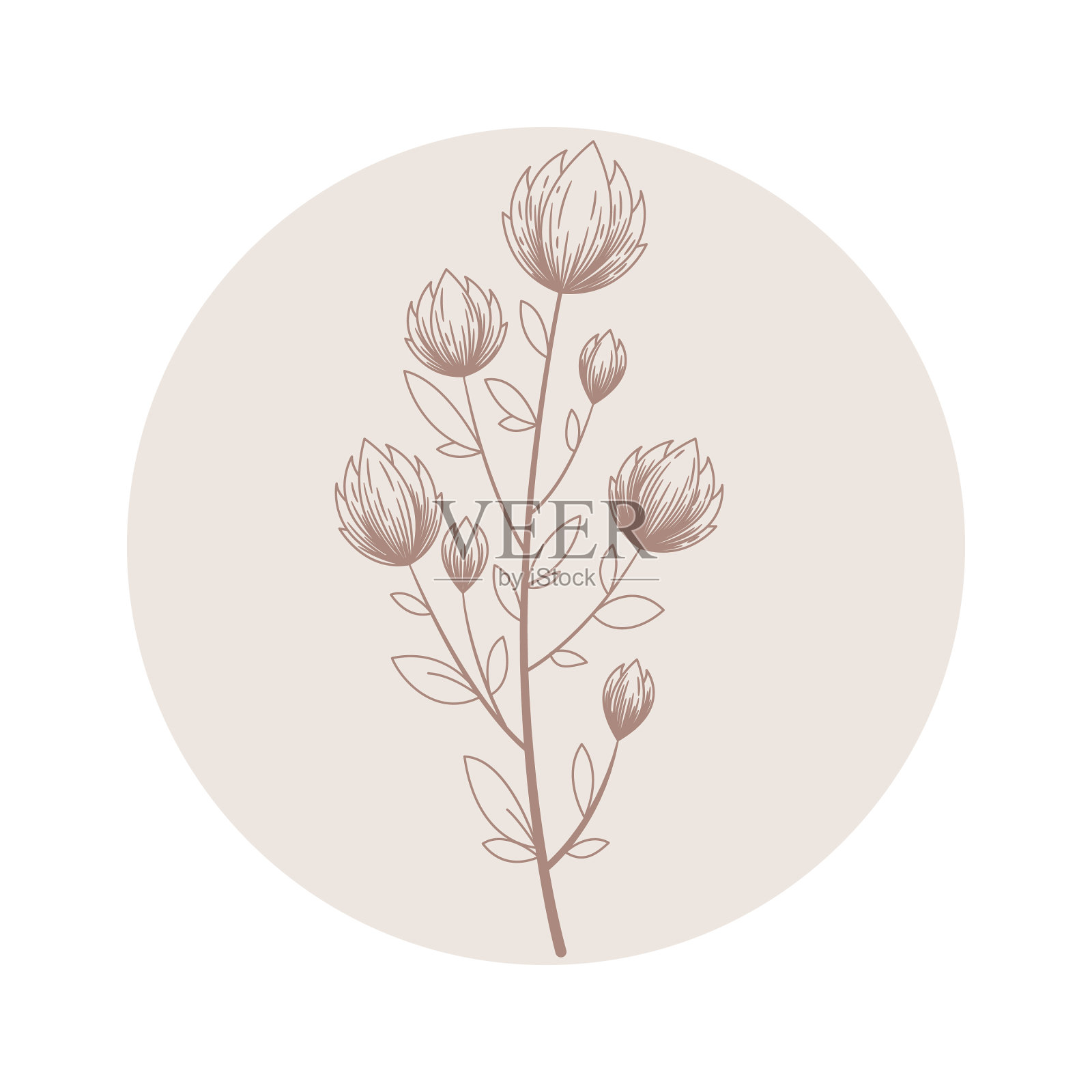 花圆形图标与手绘抽象分支设计元素图片
