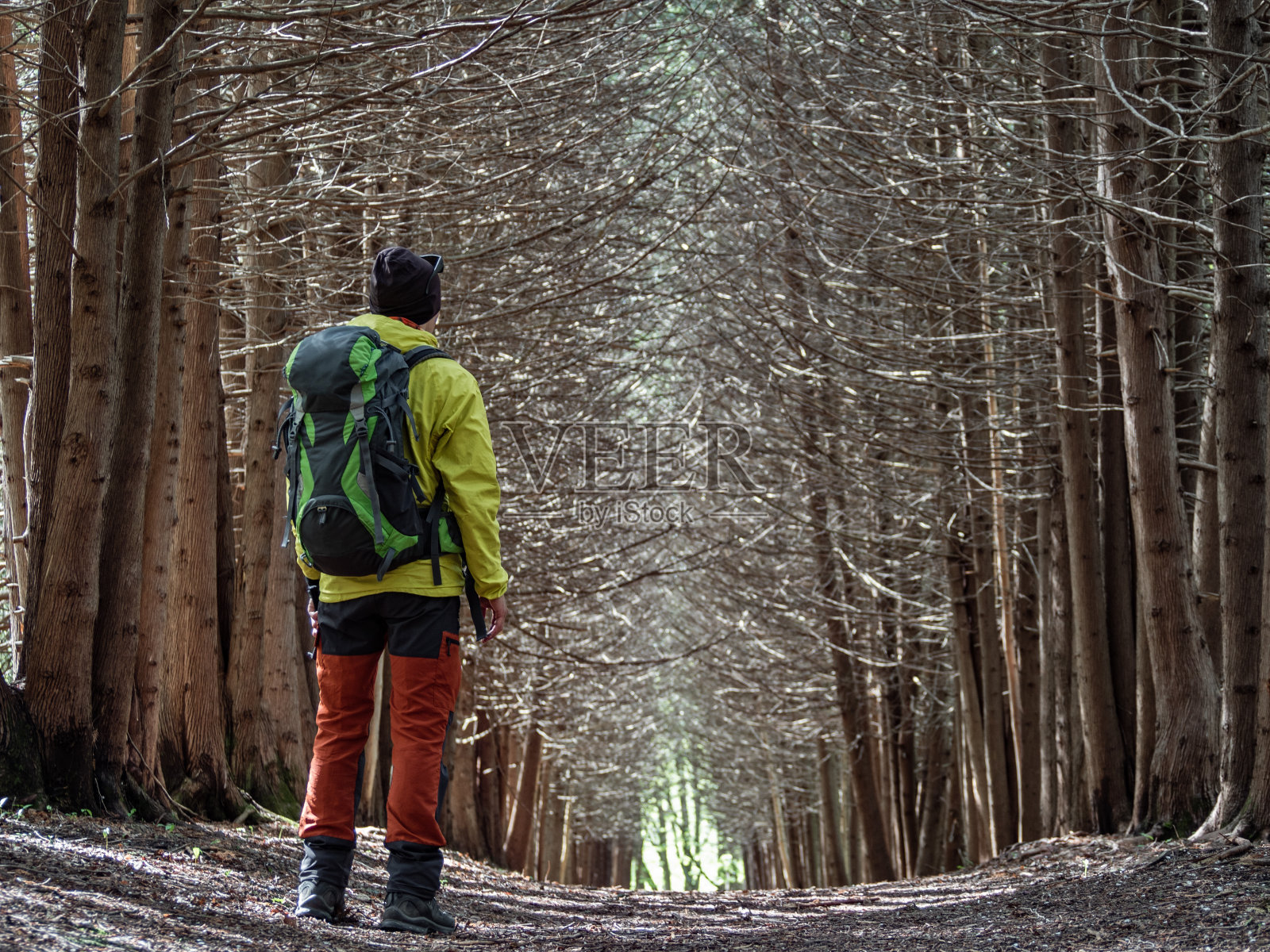 人在黑暗的秋天森林里照片摄影图片