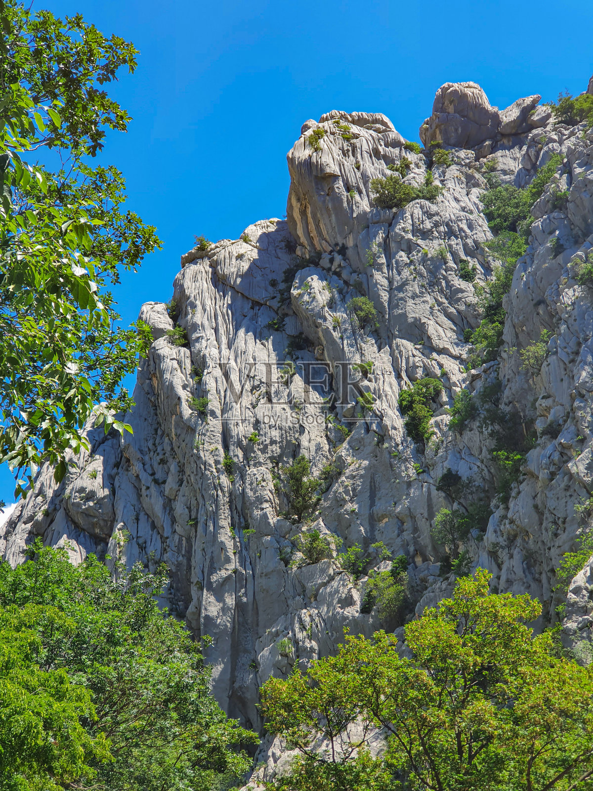 垂直方向:克罗地亚，Velebit山脊的岩石峭壁耸立在郁郁葱葱的绿色森林之上照片摄影图片