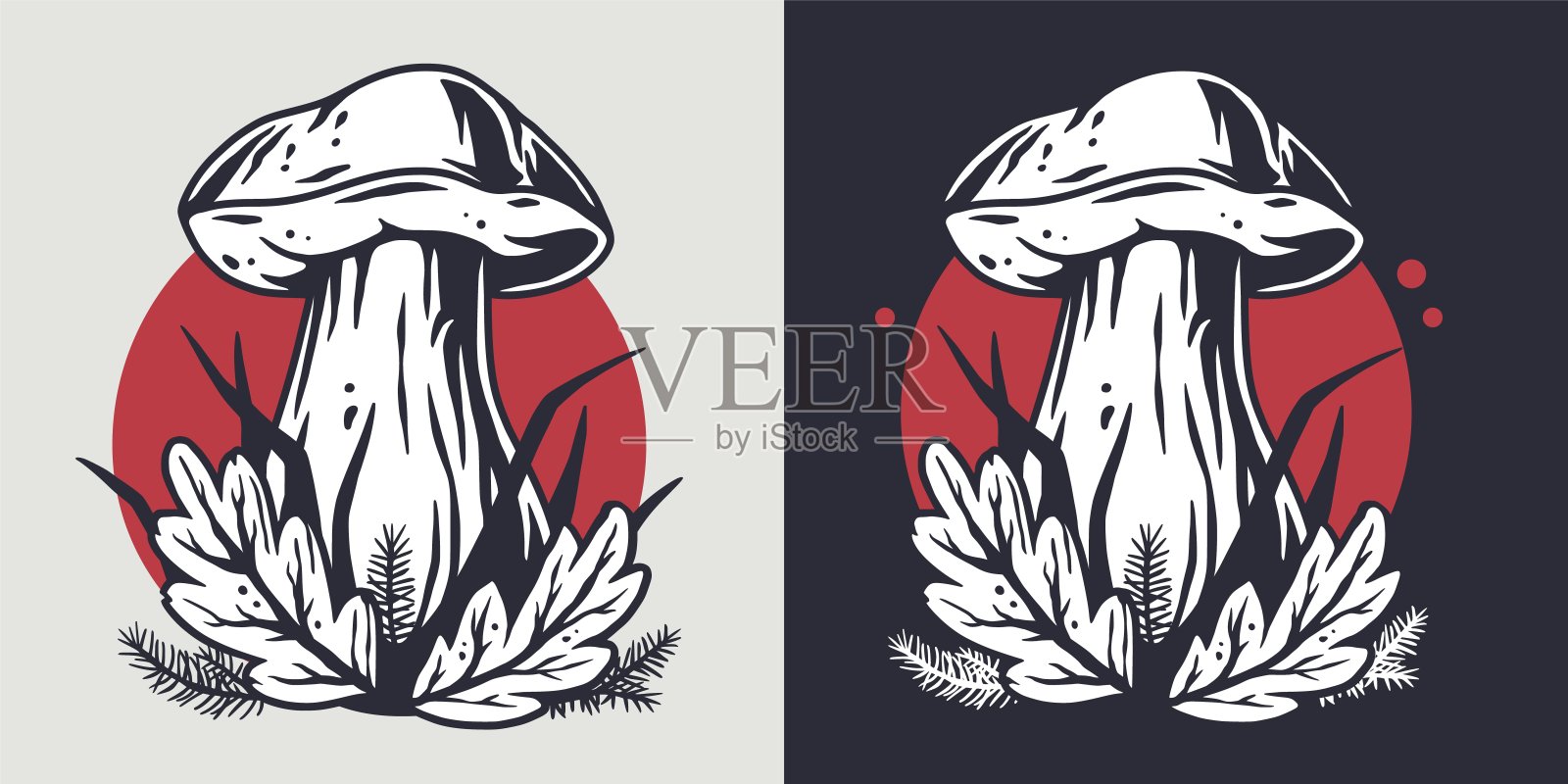 采菌菌属牛肝菌、牛肝菌或牛肝菌插画图片素材