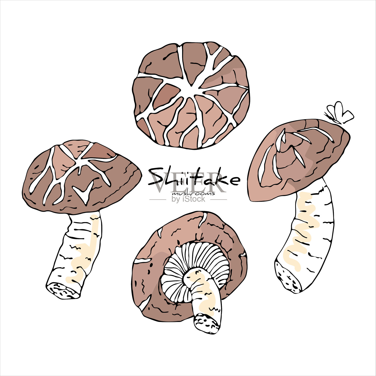 配上香菇插画图片素材