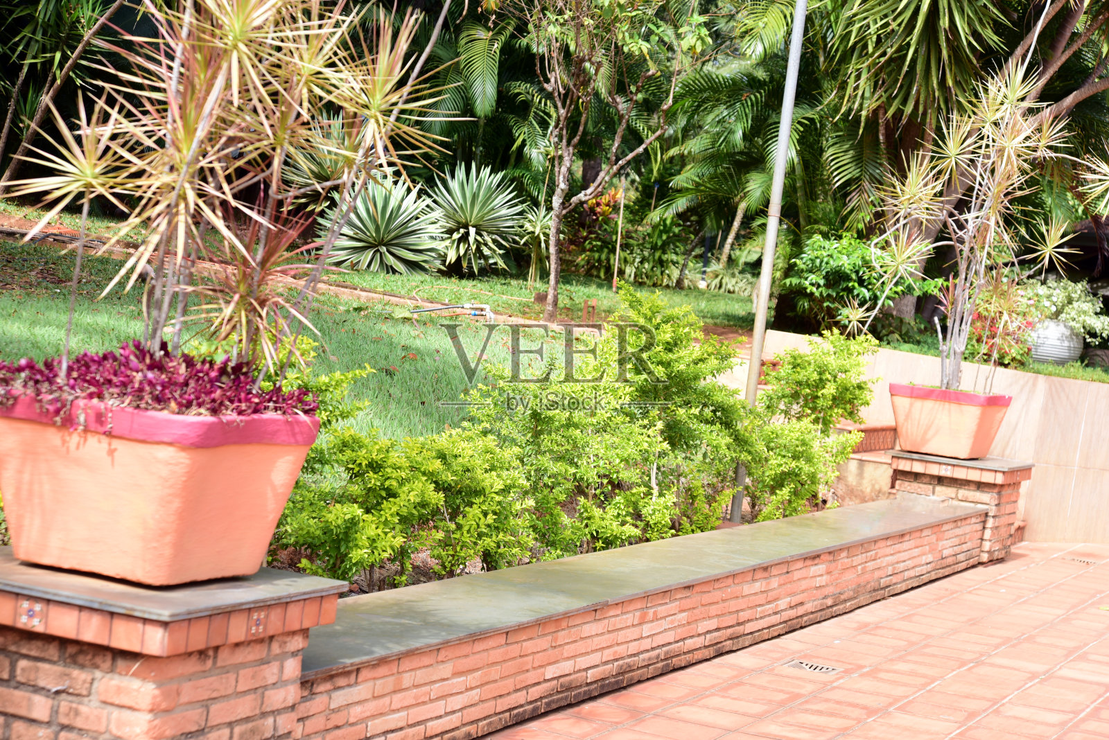 小径之间的树木和花园，与大自然周围的鲜花和树林照片摄影图片