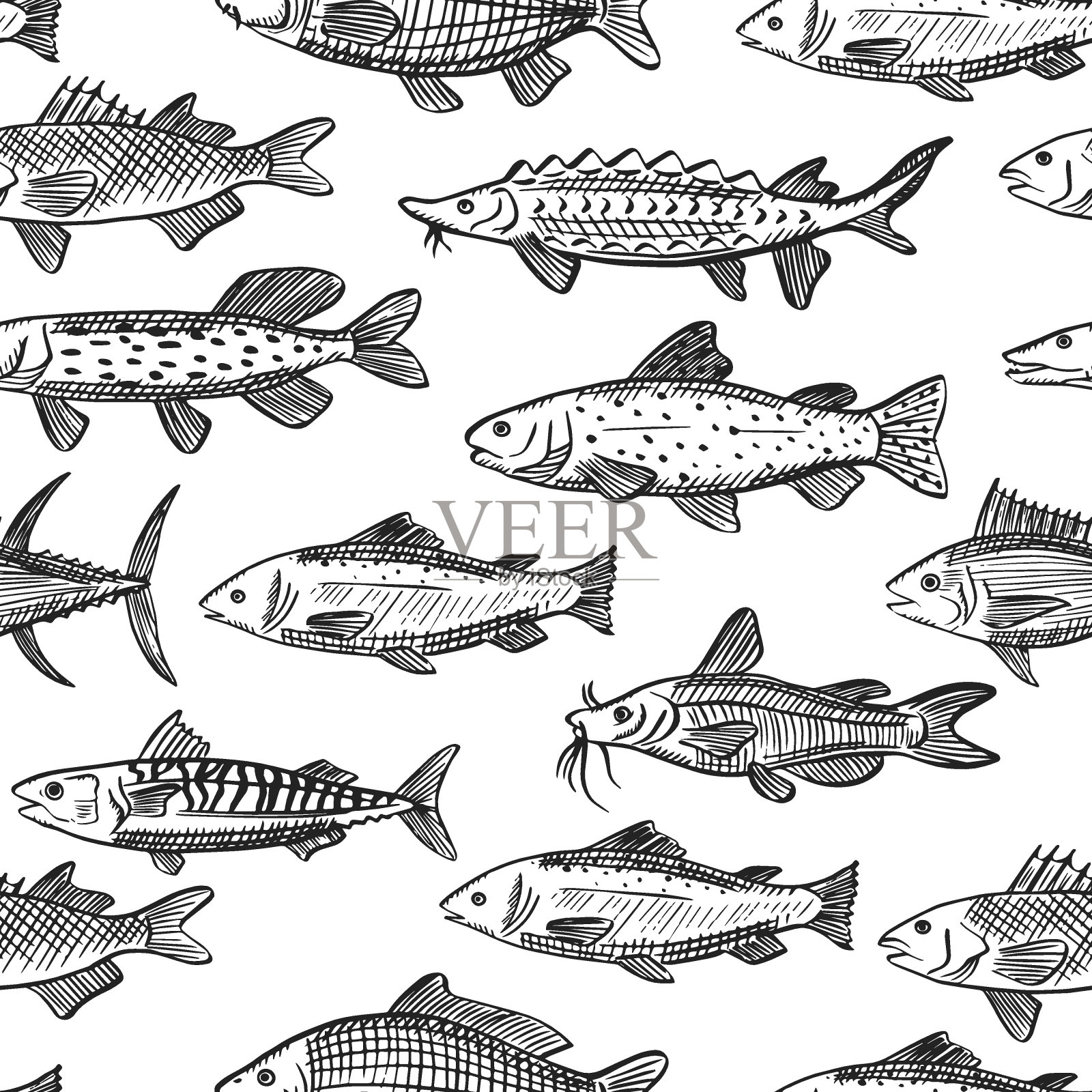无缝矢量模式与各种海鱼素描插图插画图片素材