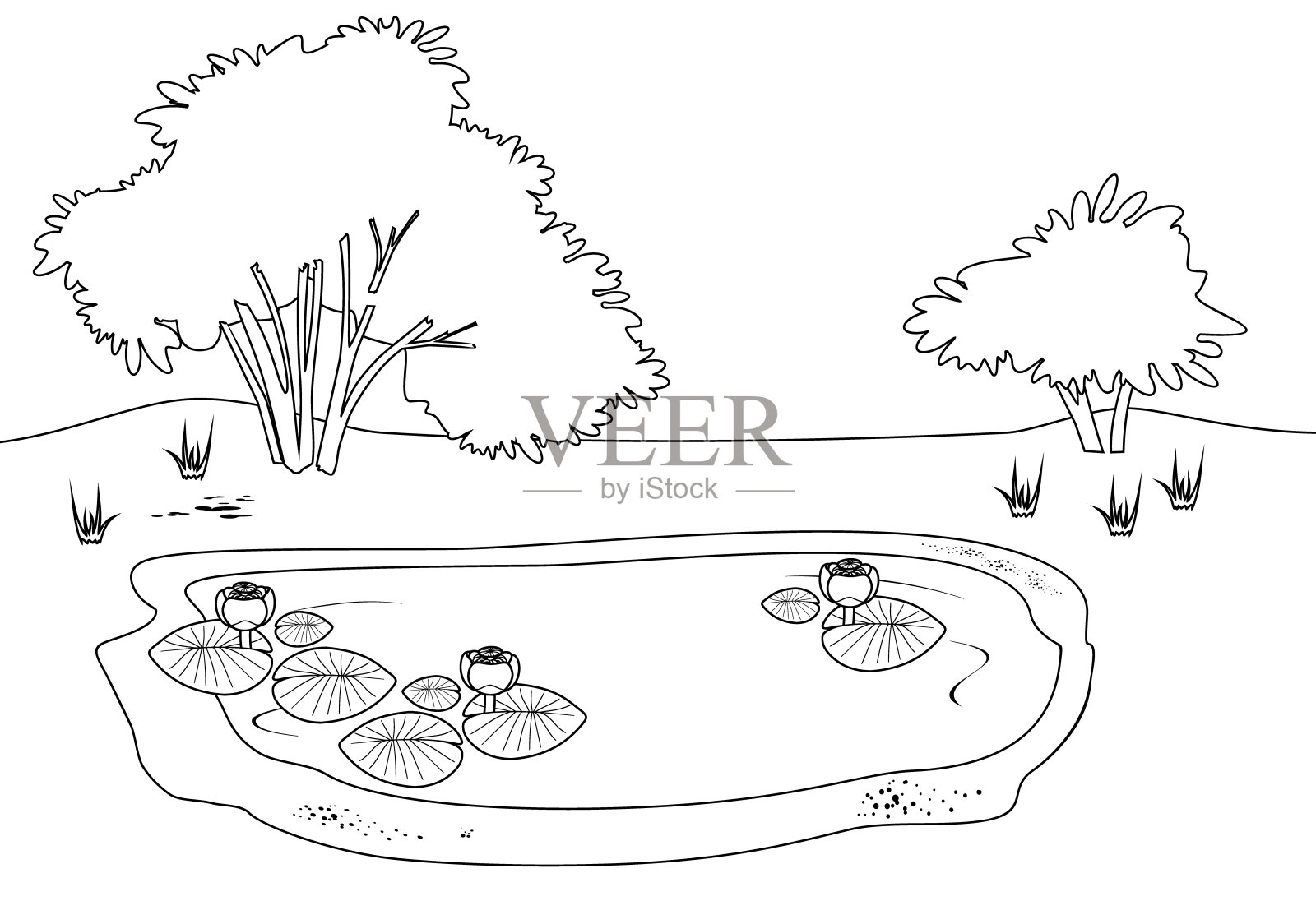 填色页与池塘开花睡莲植物插画图片素材