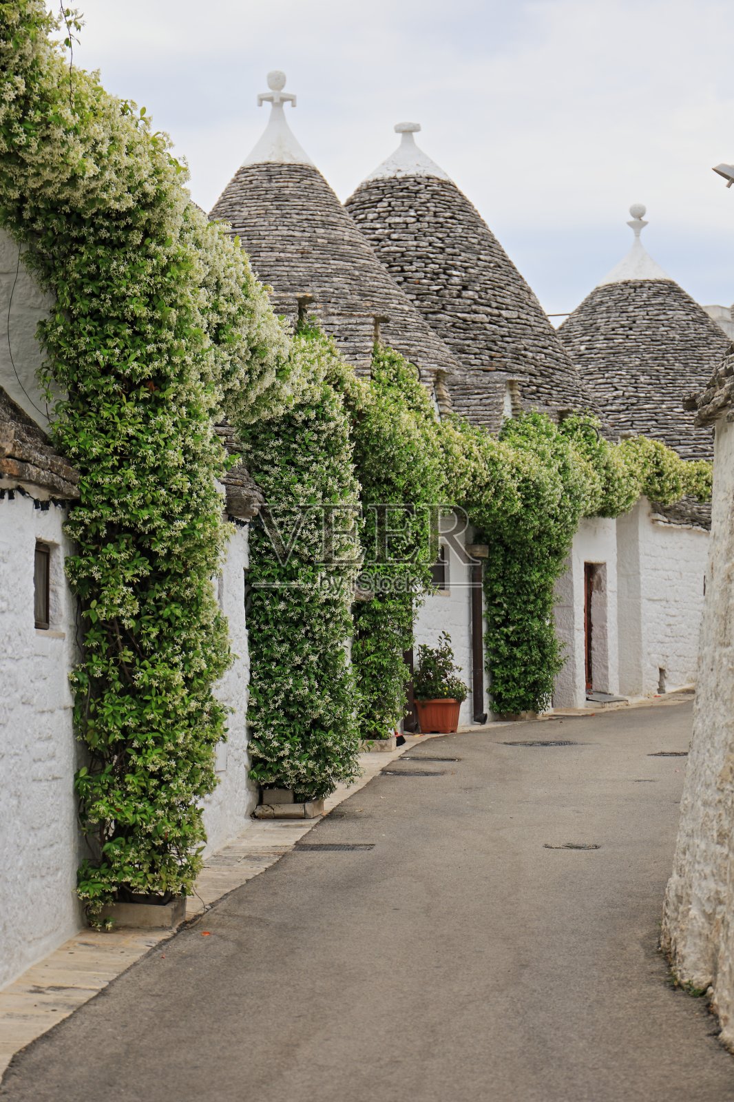 阿尔贝贝洛的特鲁利房子照片摄影图片
