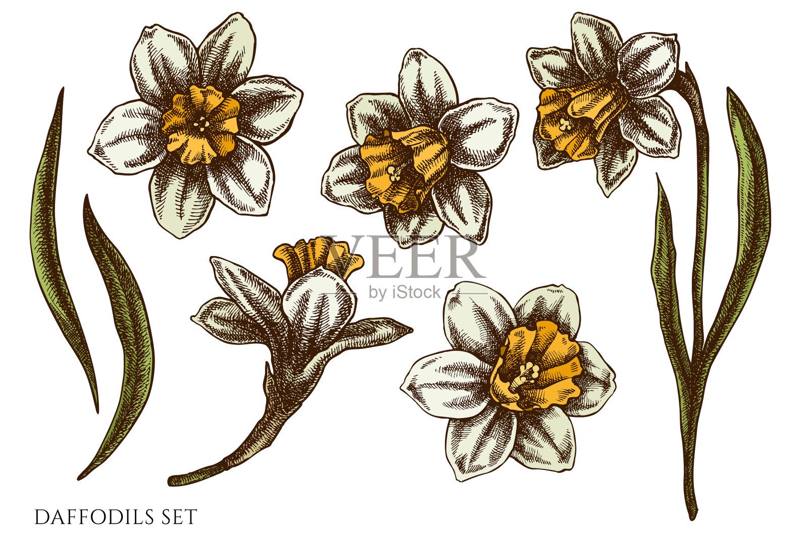 复活节手绘收藏品插画图片素材