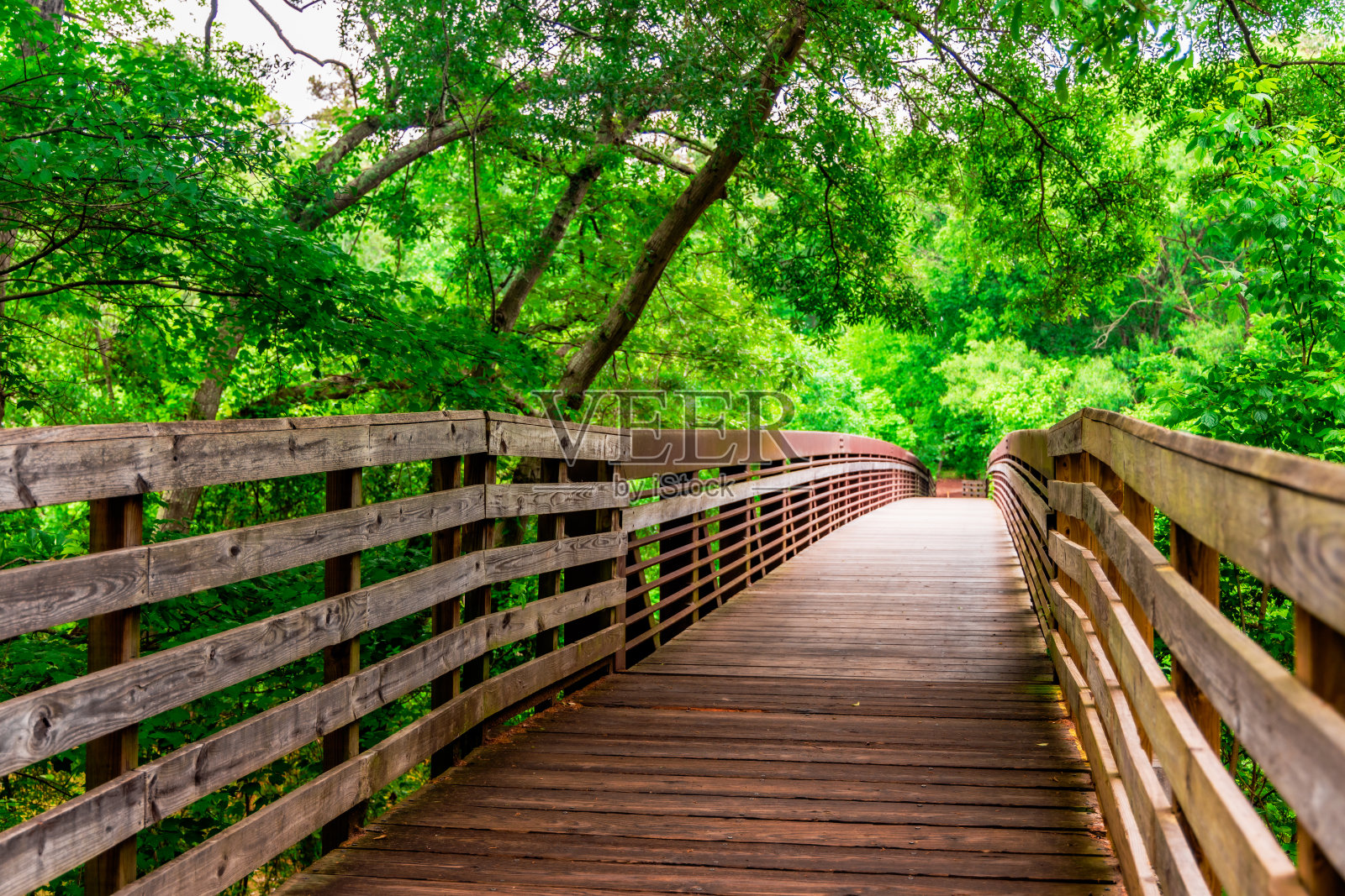 桥梁在公园照片摄影图片
