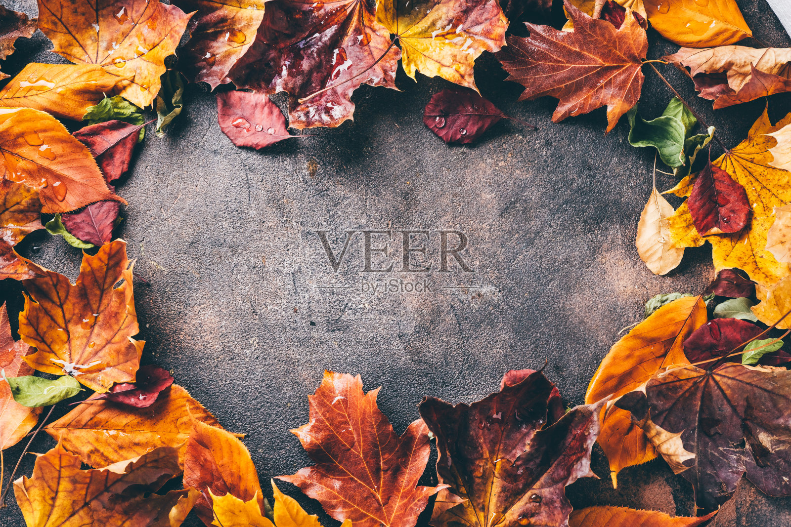 秋天的背景是明亮的橙色和红色的叶子照片摄影图片