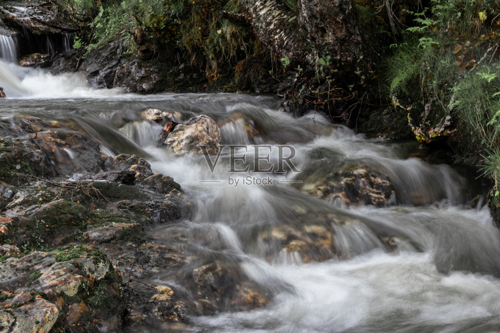 美丽的小溪在挪威，水流过照片摄影图片