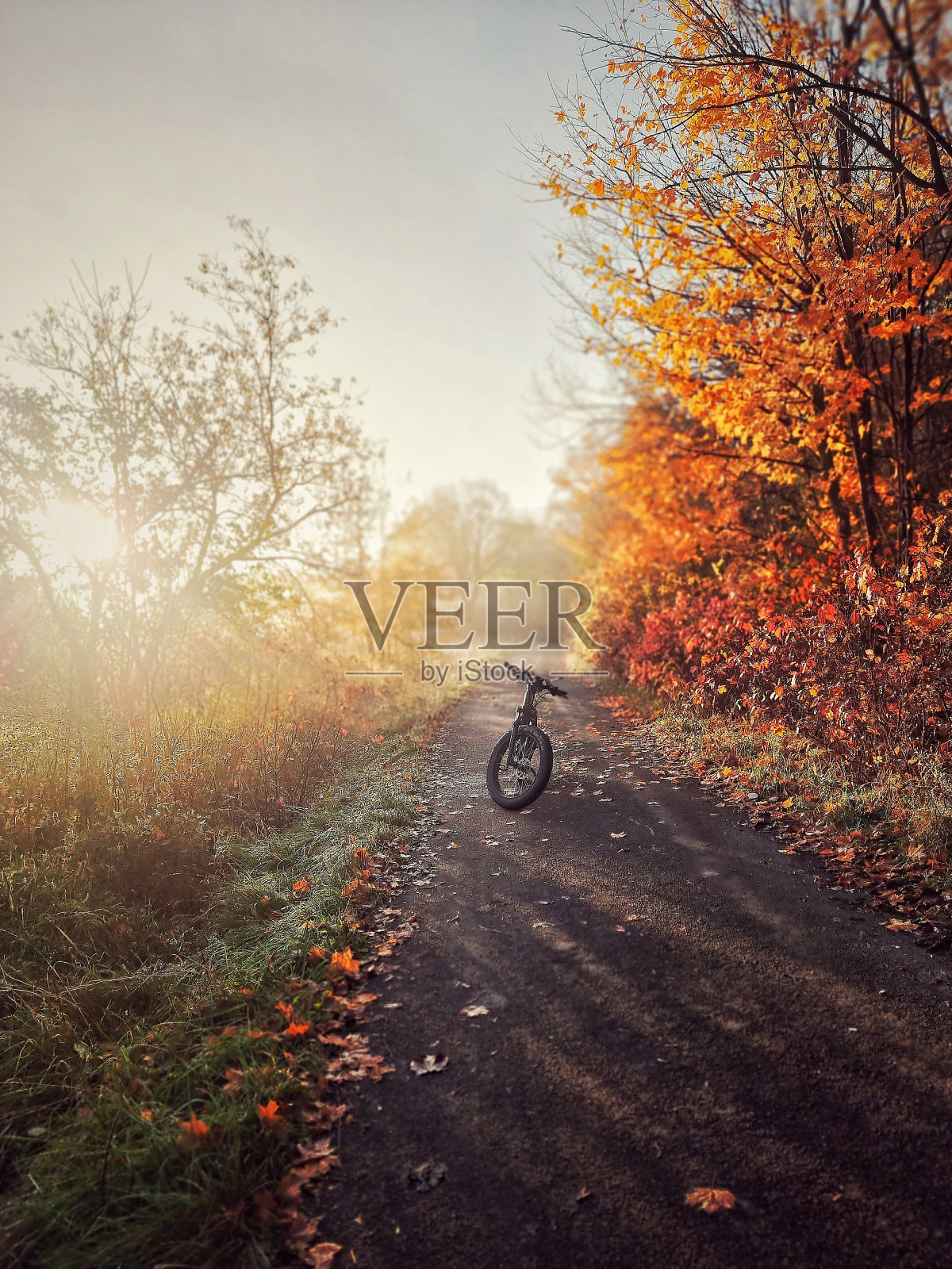 秋天骑自行车照片摄影图片