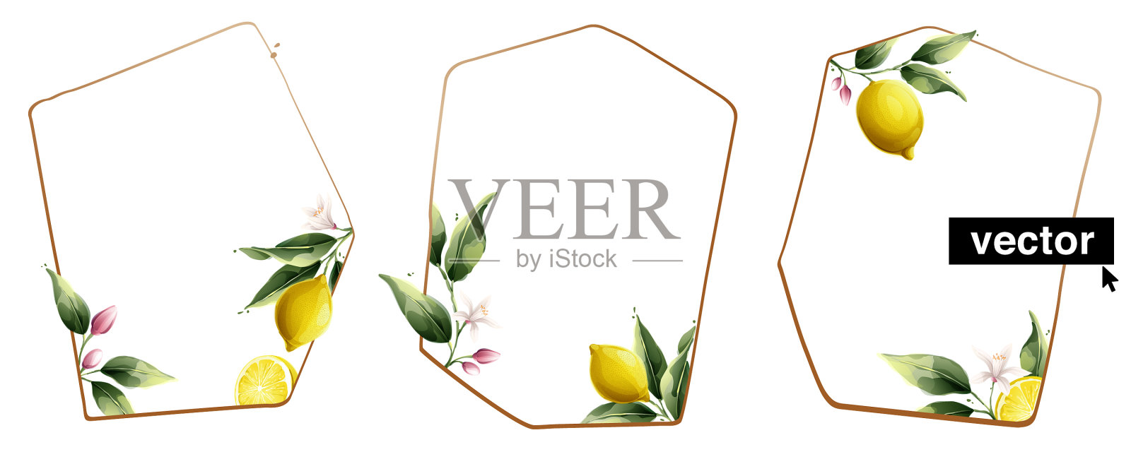 手绘水彩画柠檬框上插画图片素材