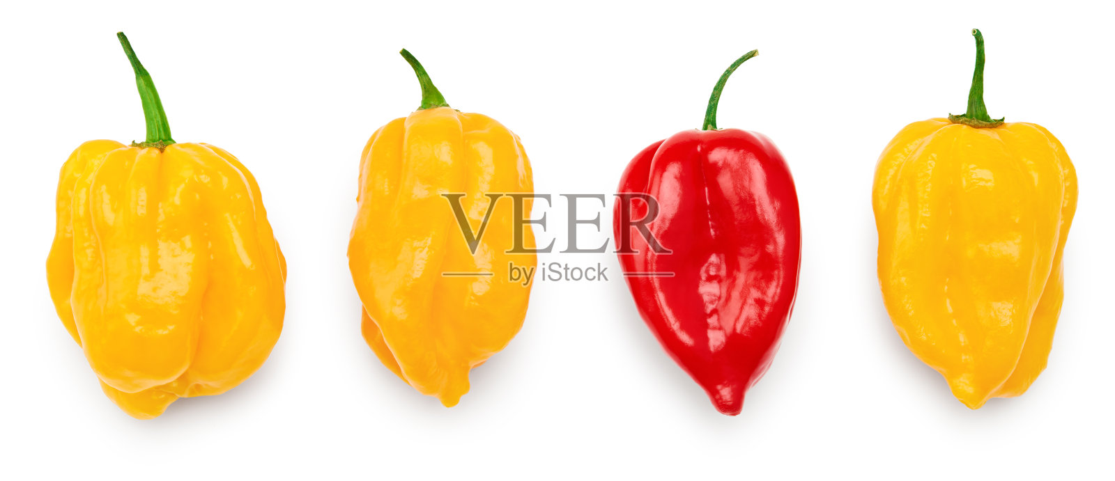 黄色和红色的哈瓦那辣椒是孤立在白色背景上的辣椒。剪切路径照片摄影图片