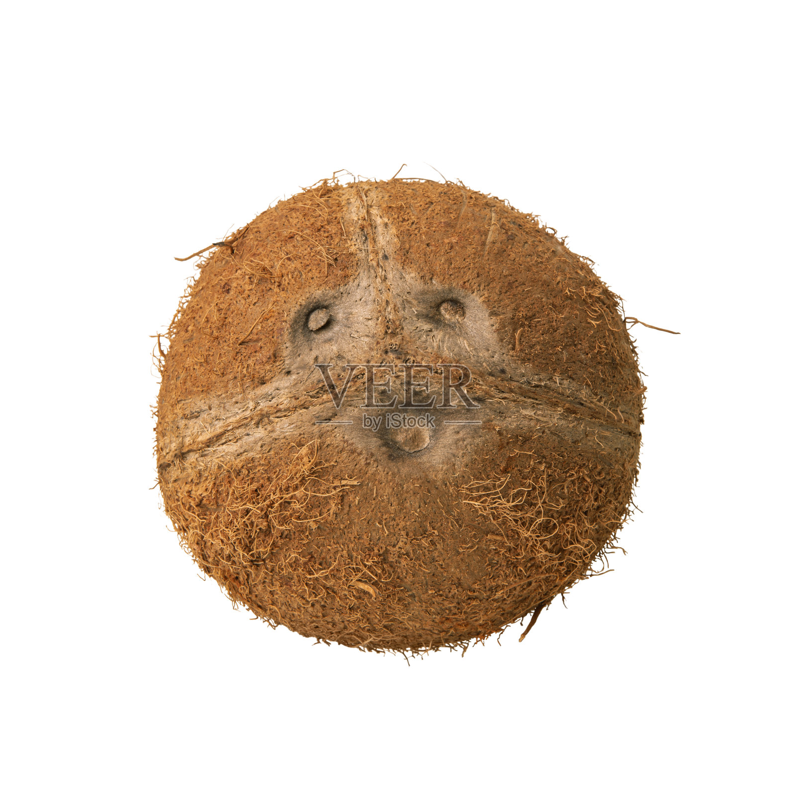 椰子，全坚果，孤立在白色背景上照片摄影图片