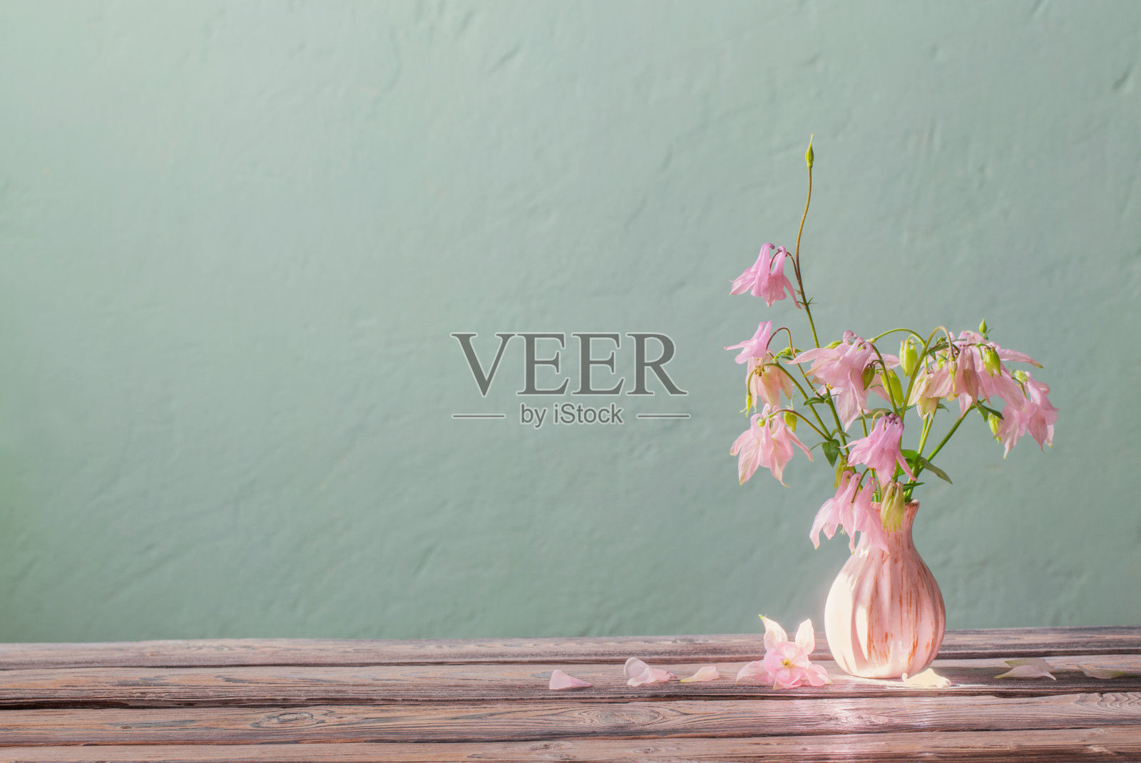 粉色花瓶里的粉色花朵，背景是绿色的墙照片摄影图片