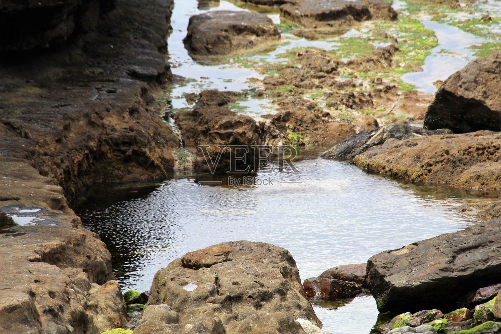 塔斯马尼亚东部海岸照片摄影图片