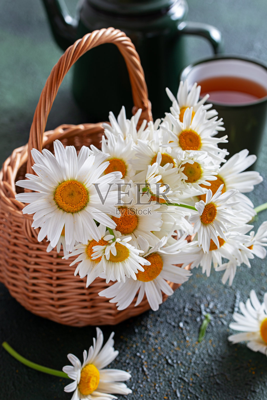 构图以花园雏菊和茶壶杯为主，选择性集中照片摄影图片