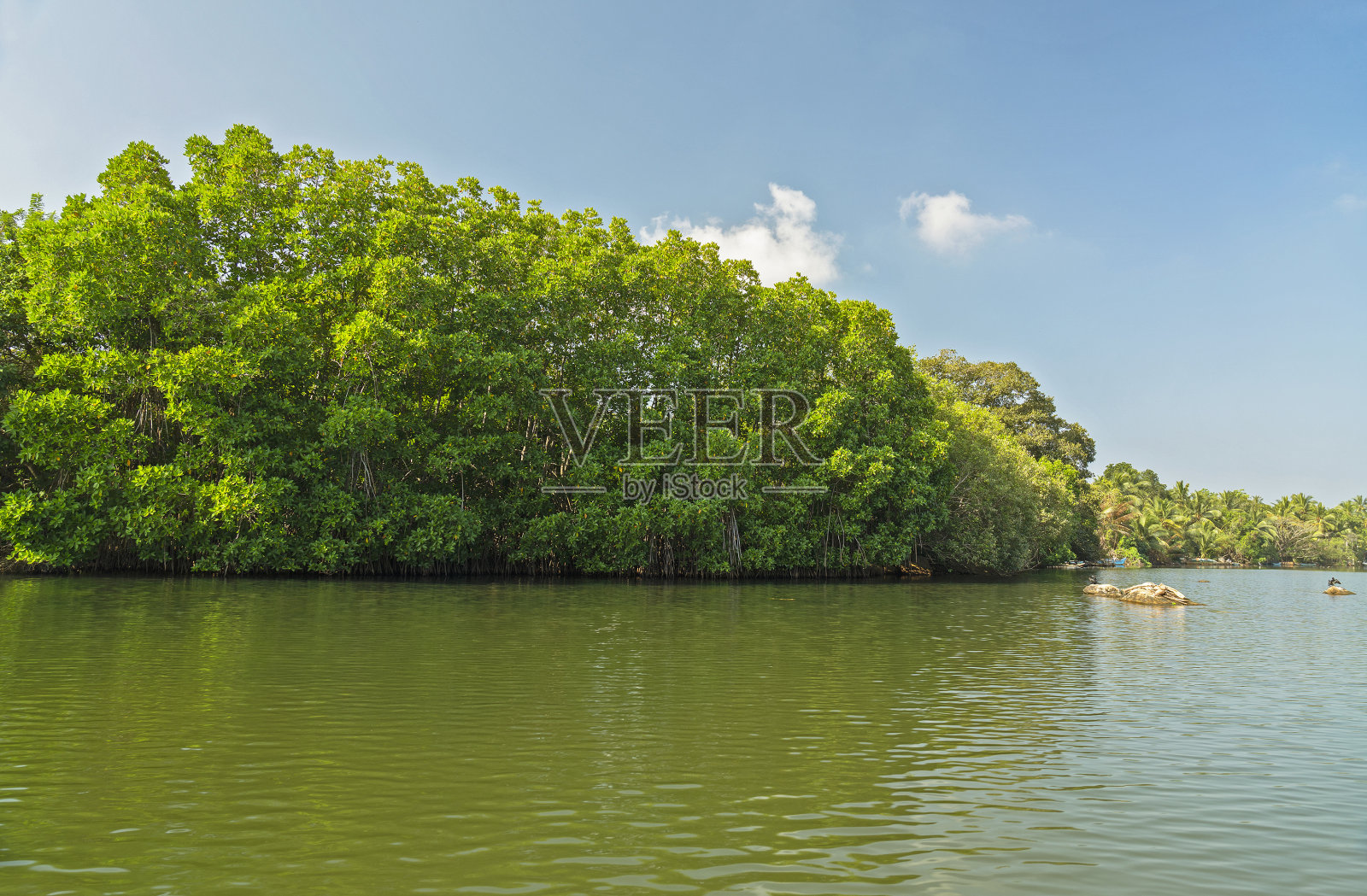 Koggala湖景观，斯里兰卡照片摄影图片