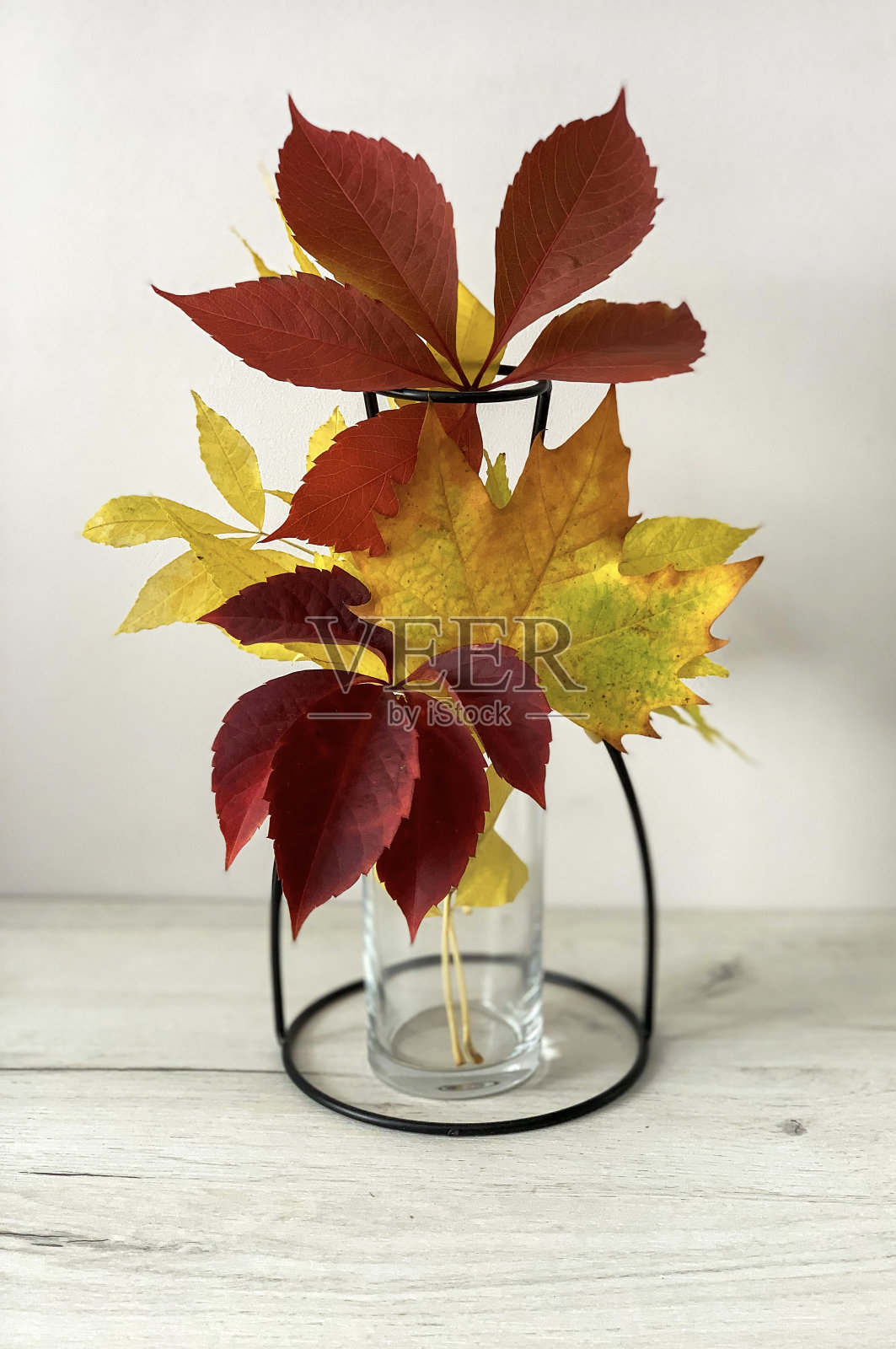 秋天Equibane。黄色和红色的叶子放在时髦的花瓶里。照片摄影图片