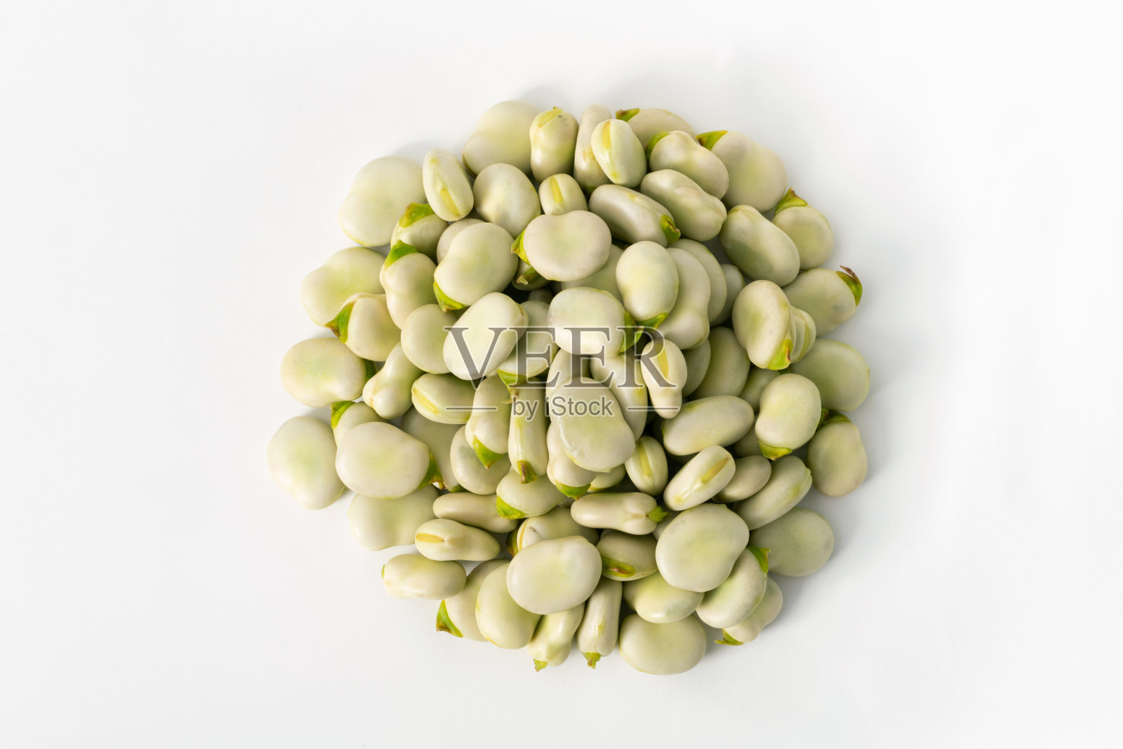 一堆新鲜蚕豆照片摄影图片