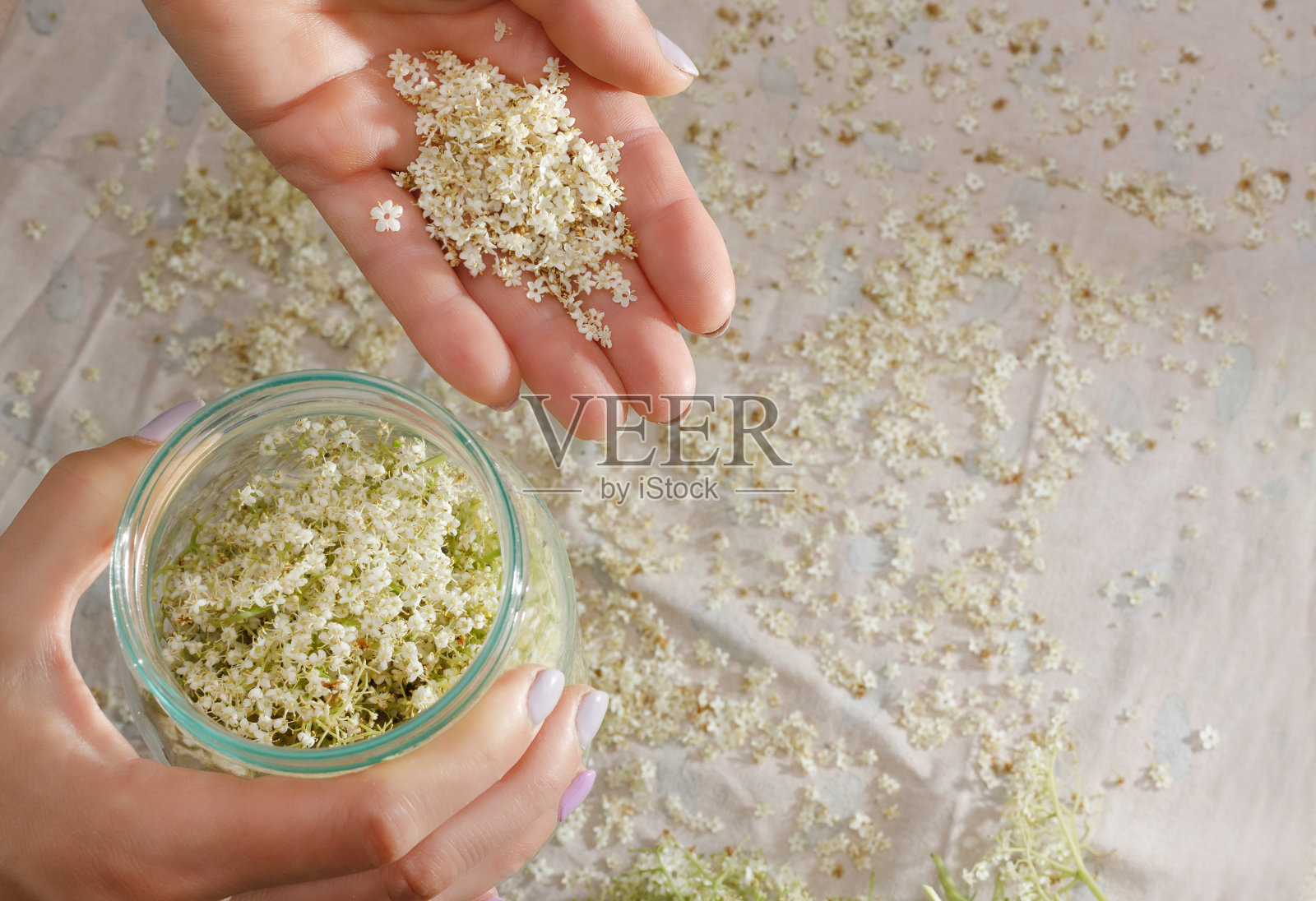 女手和接骨木花，器皿。从上面。家庭保健疗法照片摄影图片