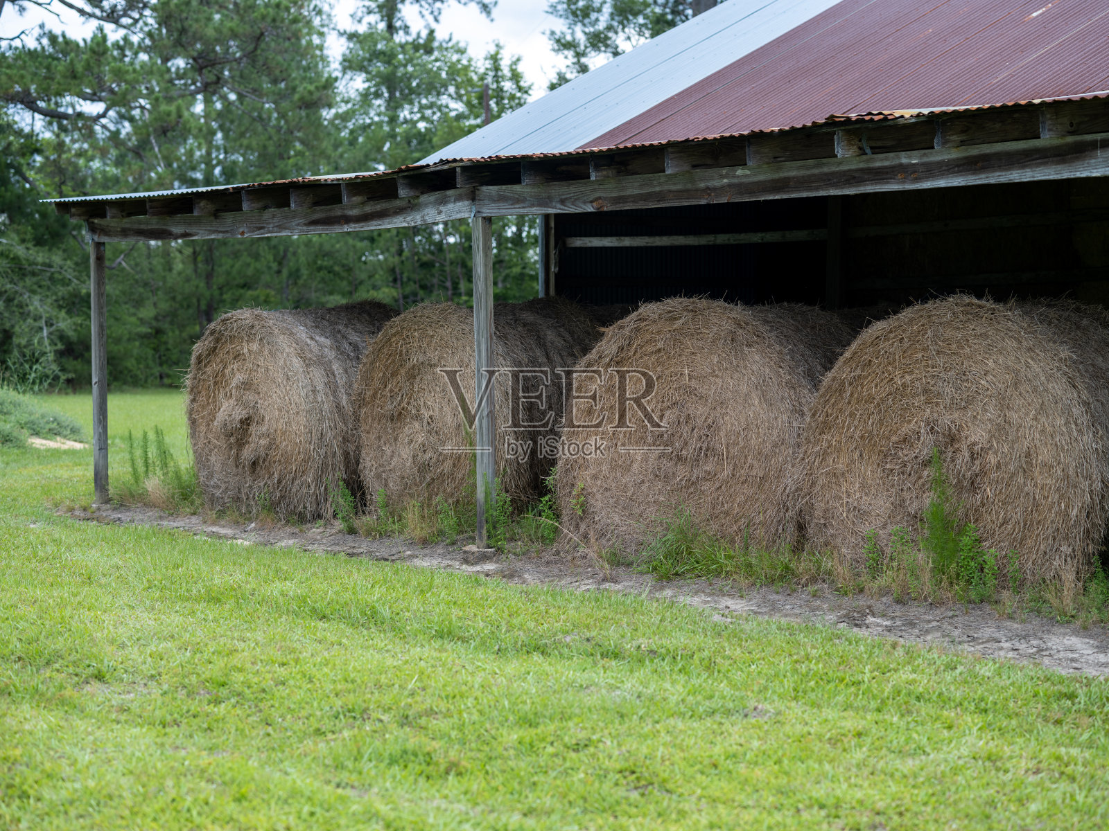 干草在谷仓下捆成捆照片摄影图片