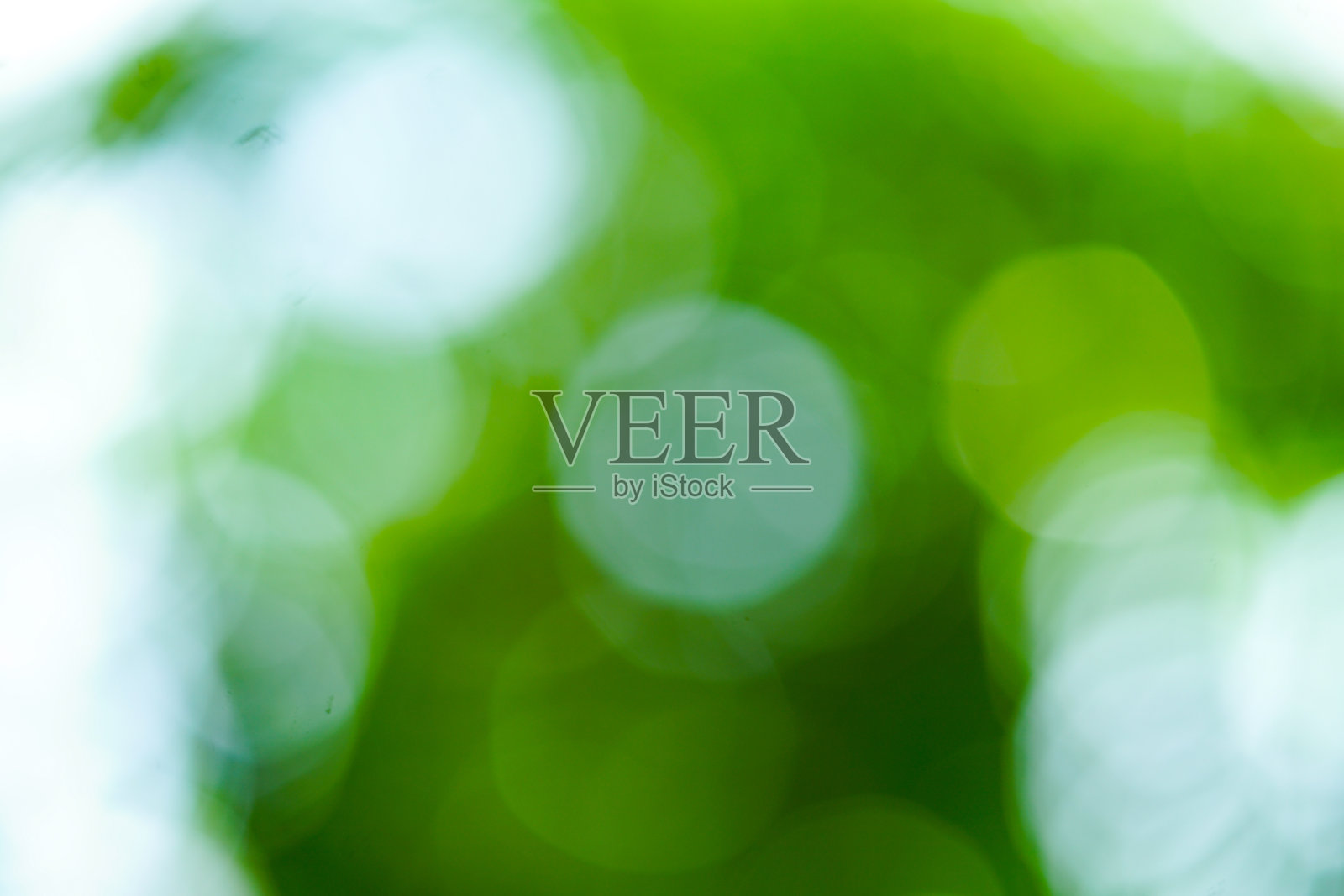 绿色背景。照片摄影图片