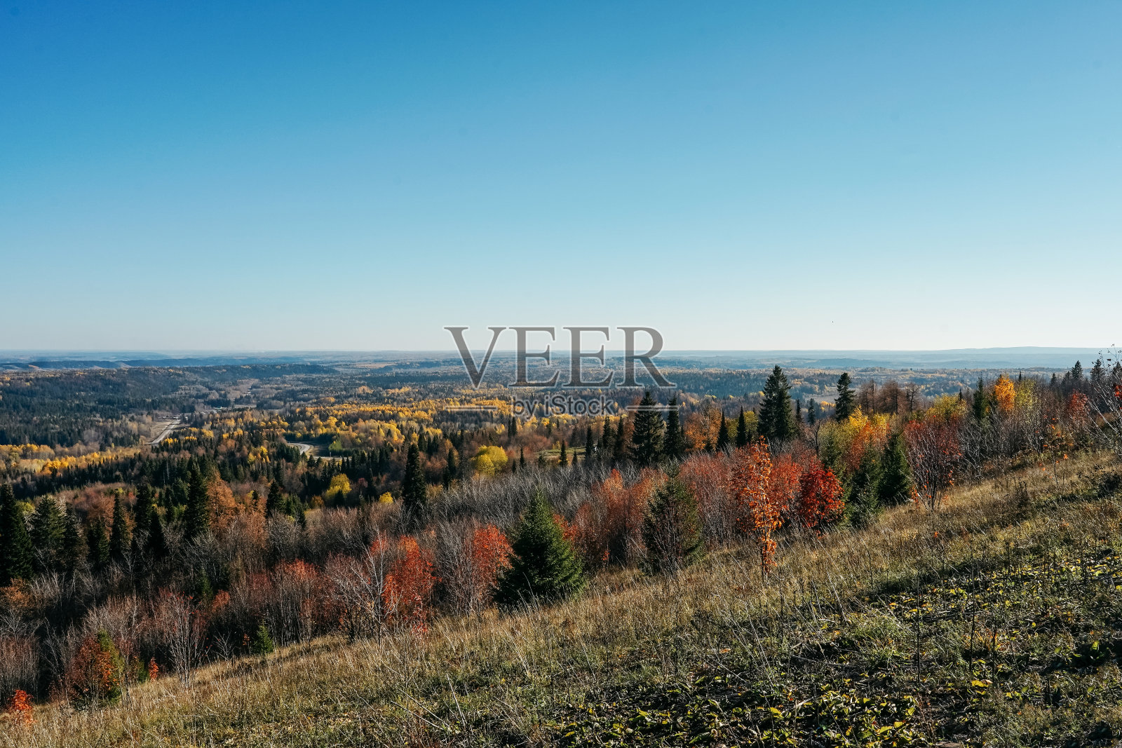 鸟瞰秋天五彩缤纷的森林。照片摄影图片