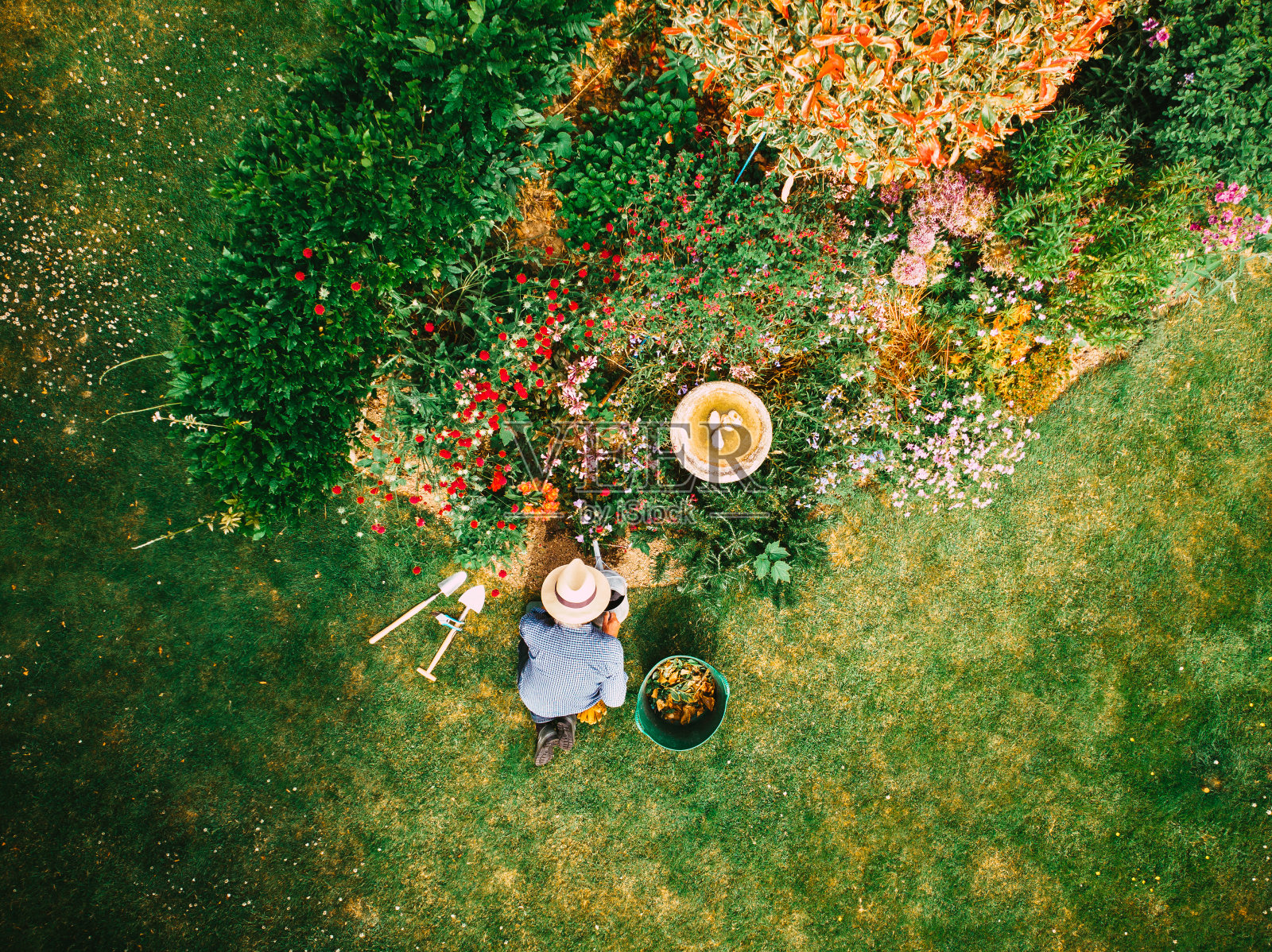 花园中人工浇灌花坛的高角度视图照片摄影图片