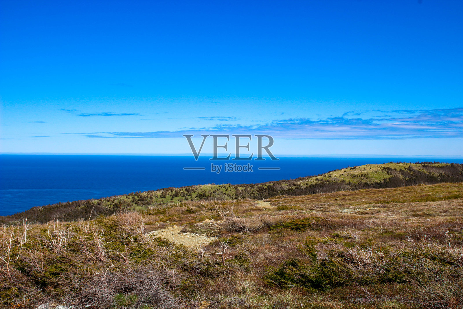 风景照片从绿色花园远足格罗斯莫恩纽芬兰照片摄影图片