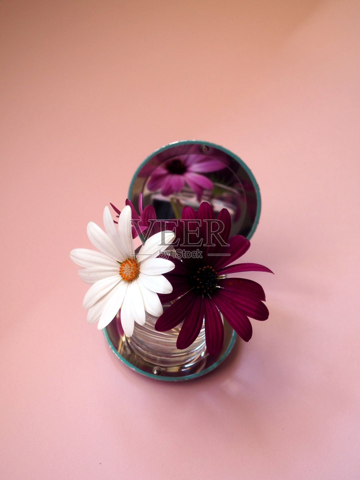 一束雏菊和一面镜子照片摄影图片