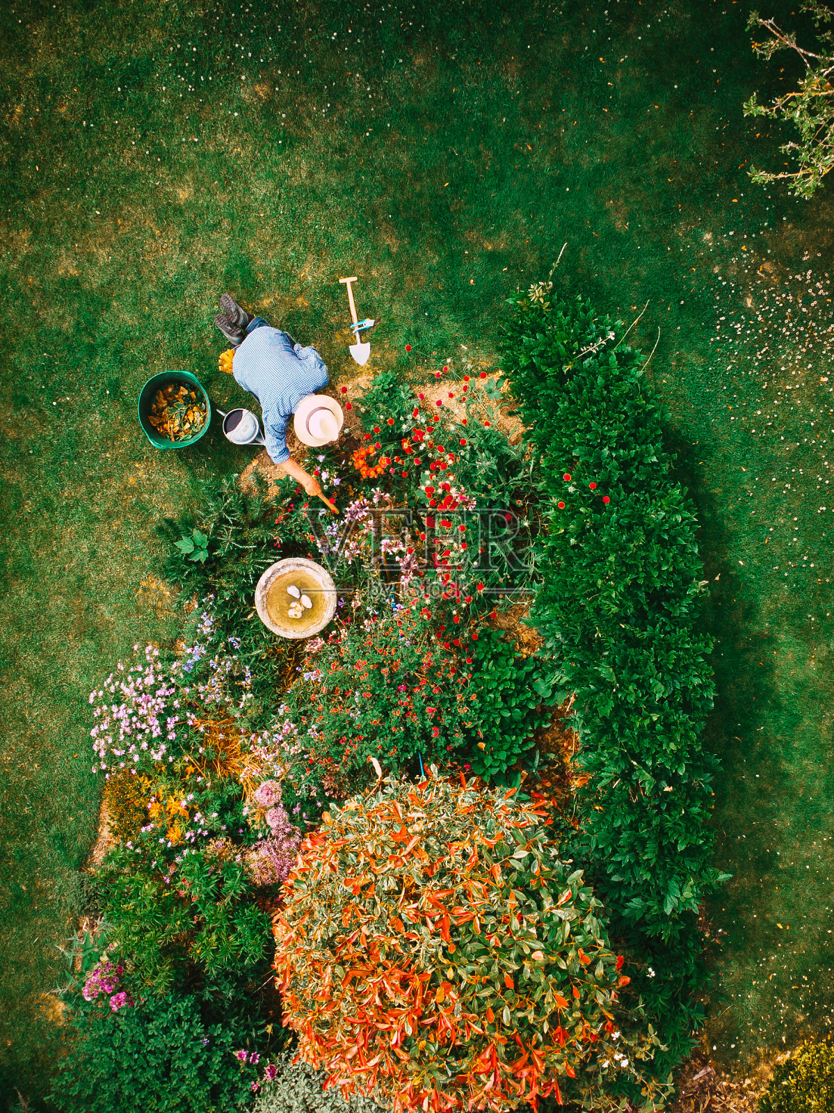 花园中人工浇灌花坛的高角度视图照片摄影图片