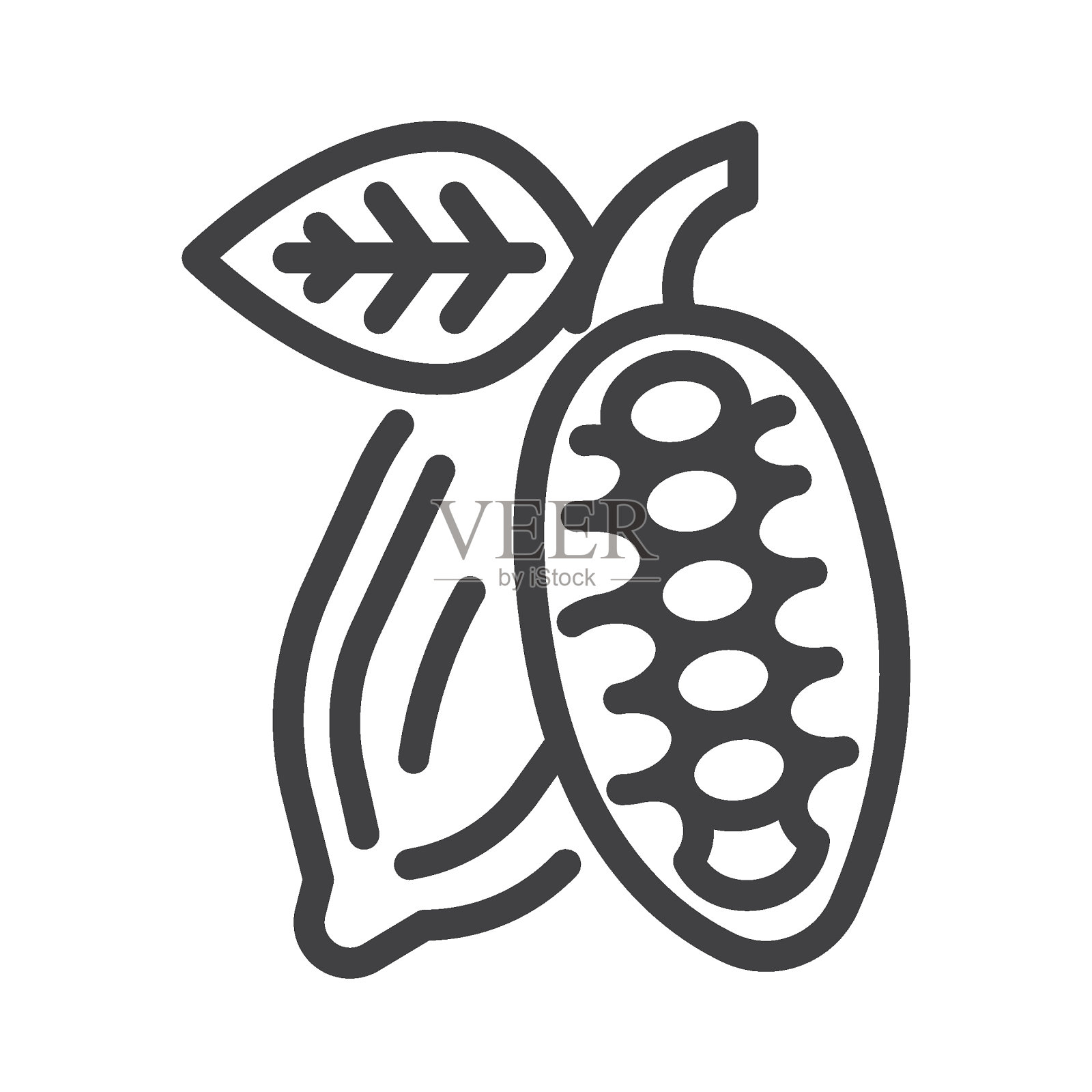 可可豆线条图标插画图片素材