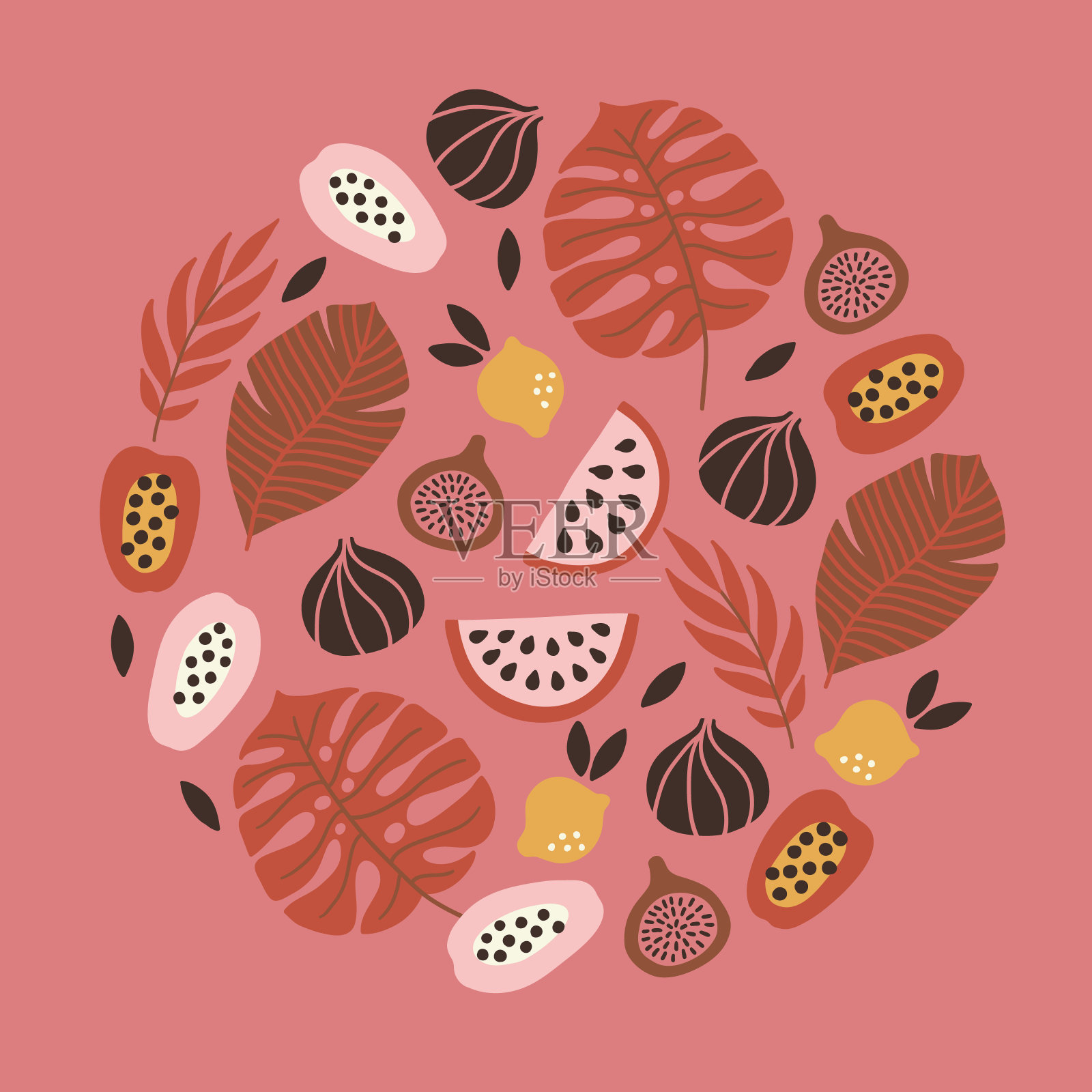 夏天的贺卡，西瓜，无花果，柠檬，木瓜，monstera叶子插画图片素材