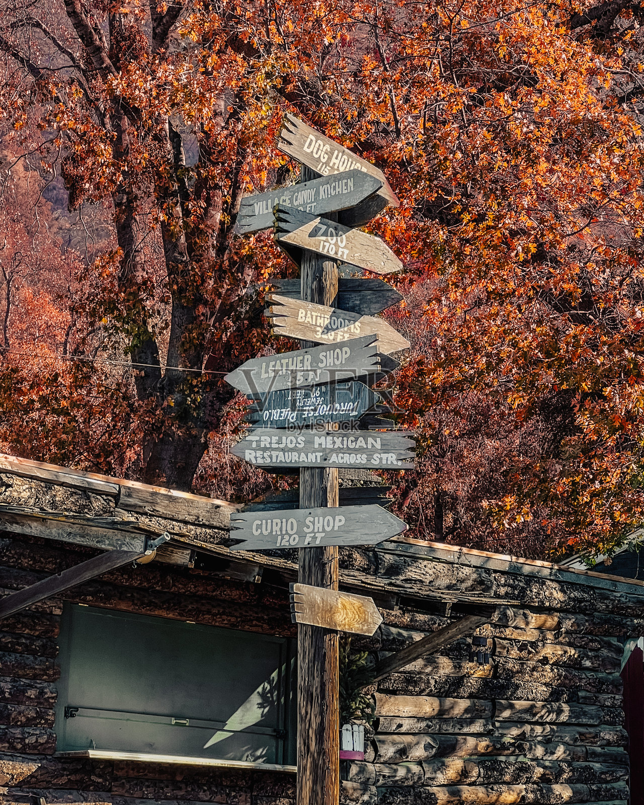 哪条路?照片摄影图片