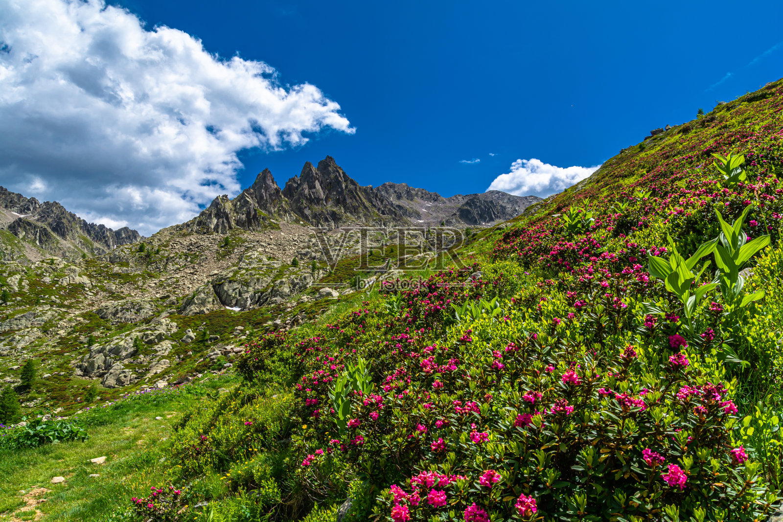 拉斯弗湖——科博兰山顶——斯图拉山谷——库尼奥照片摄影图片
