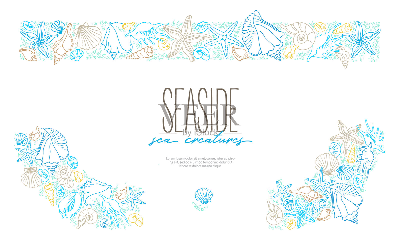 矢量框架，边界，线条艺术热带海洋元素，贝壳，海星。海洋生物的涂鸦。海装饰。海洋,海洋生物。海上插图插画图片素材